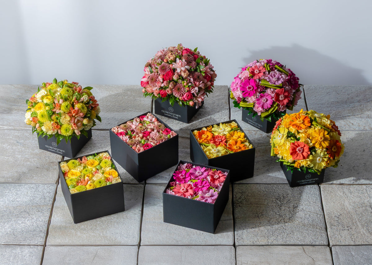 美しい冬から春への移り変わりを色鮮やかに表現した、スプリングコレクション2026