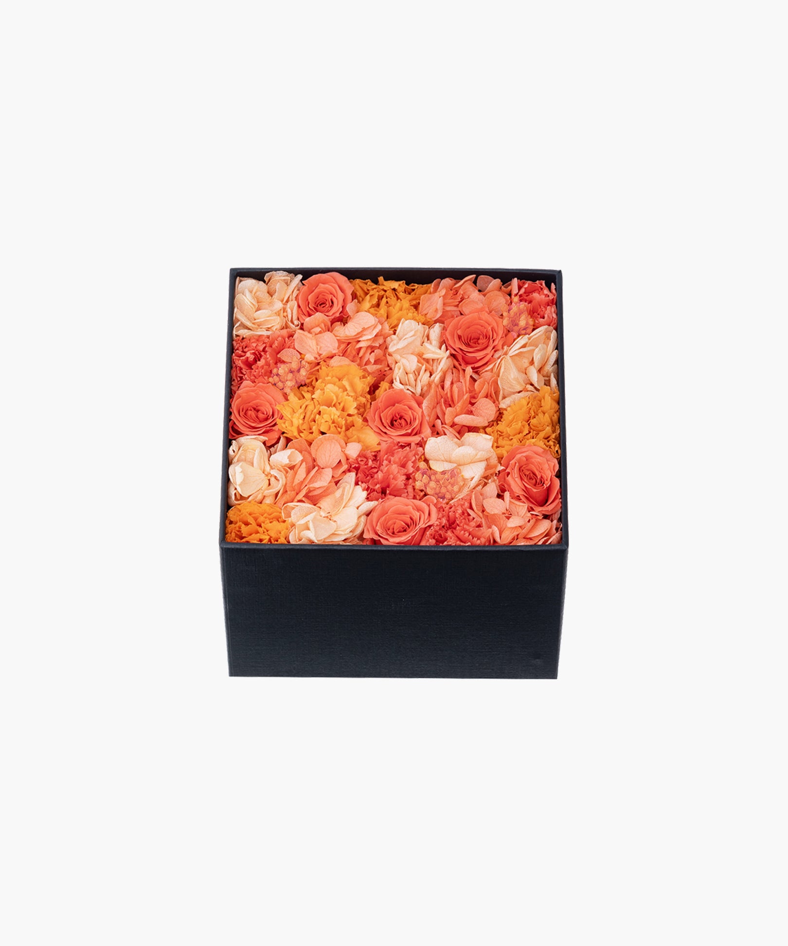 Tangerine Shine