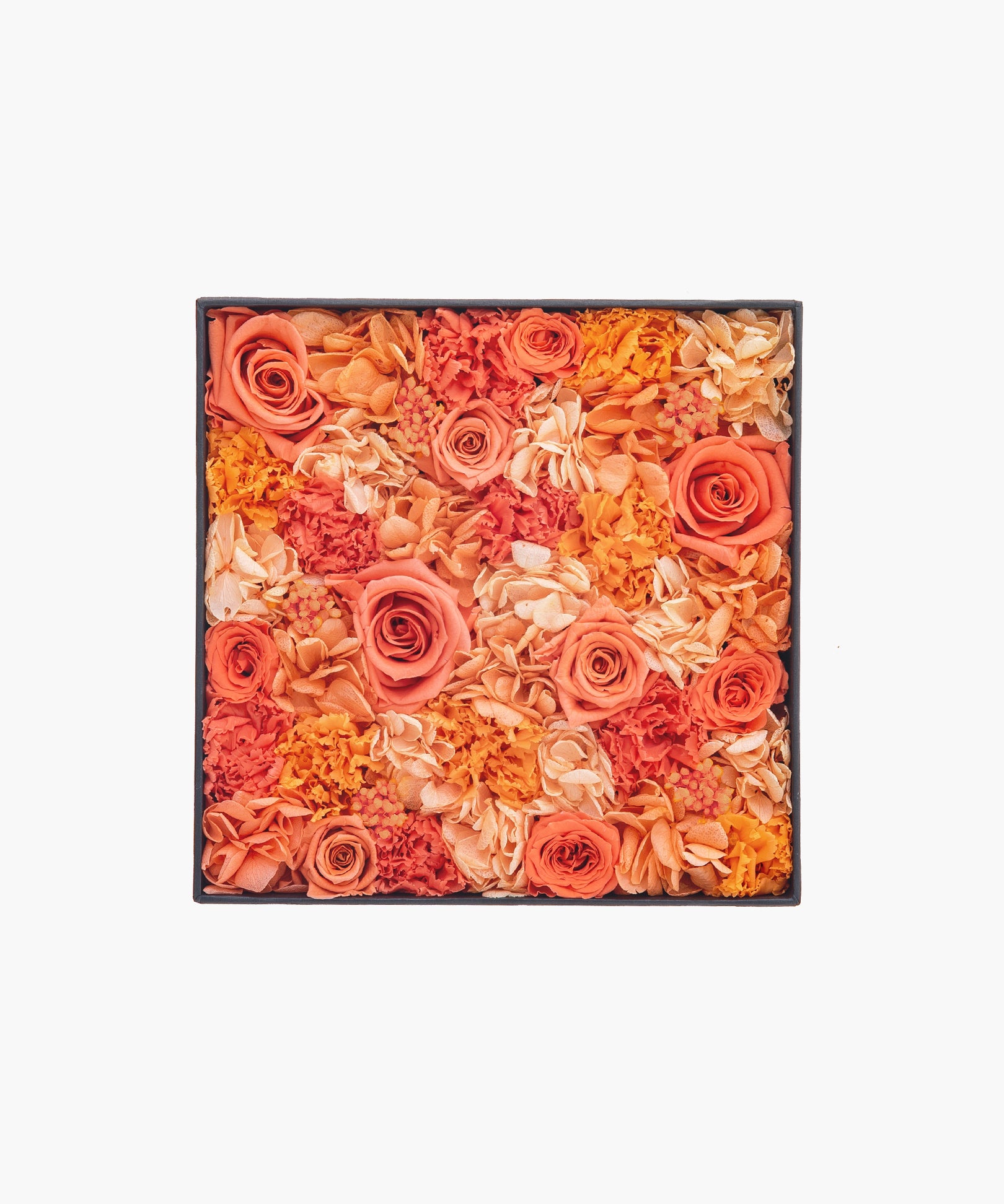Tangerine Shine
