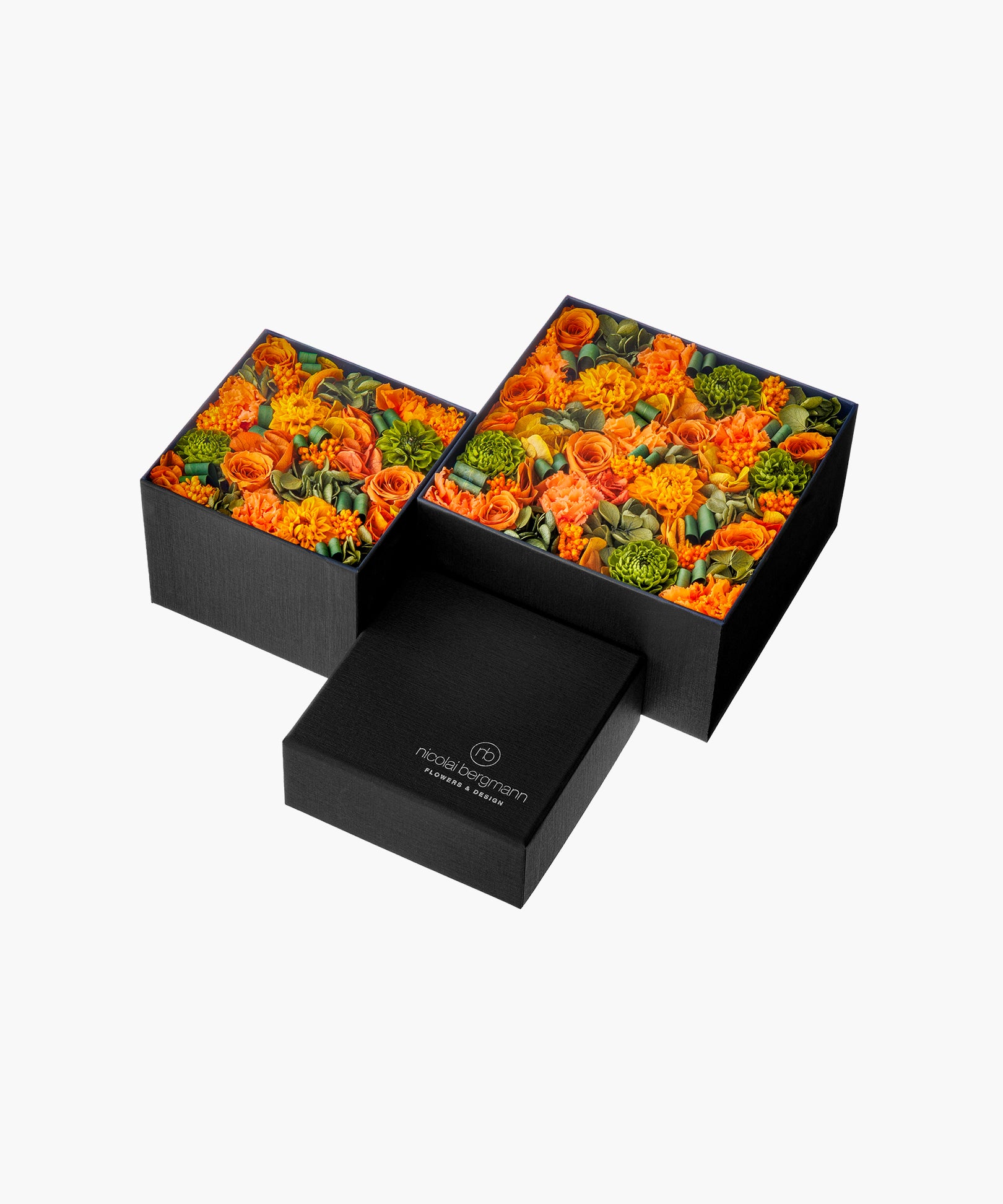Mandarine Dahlia (マンダリンダリア)