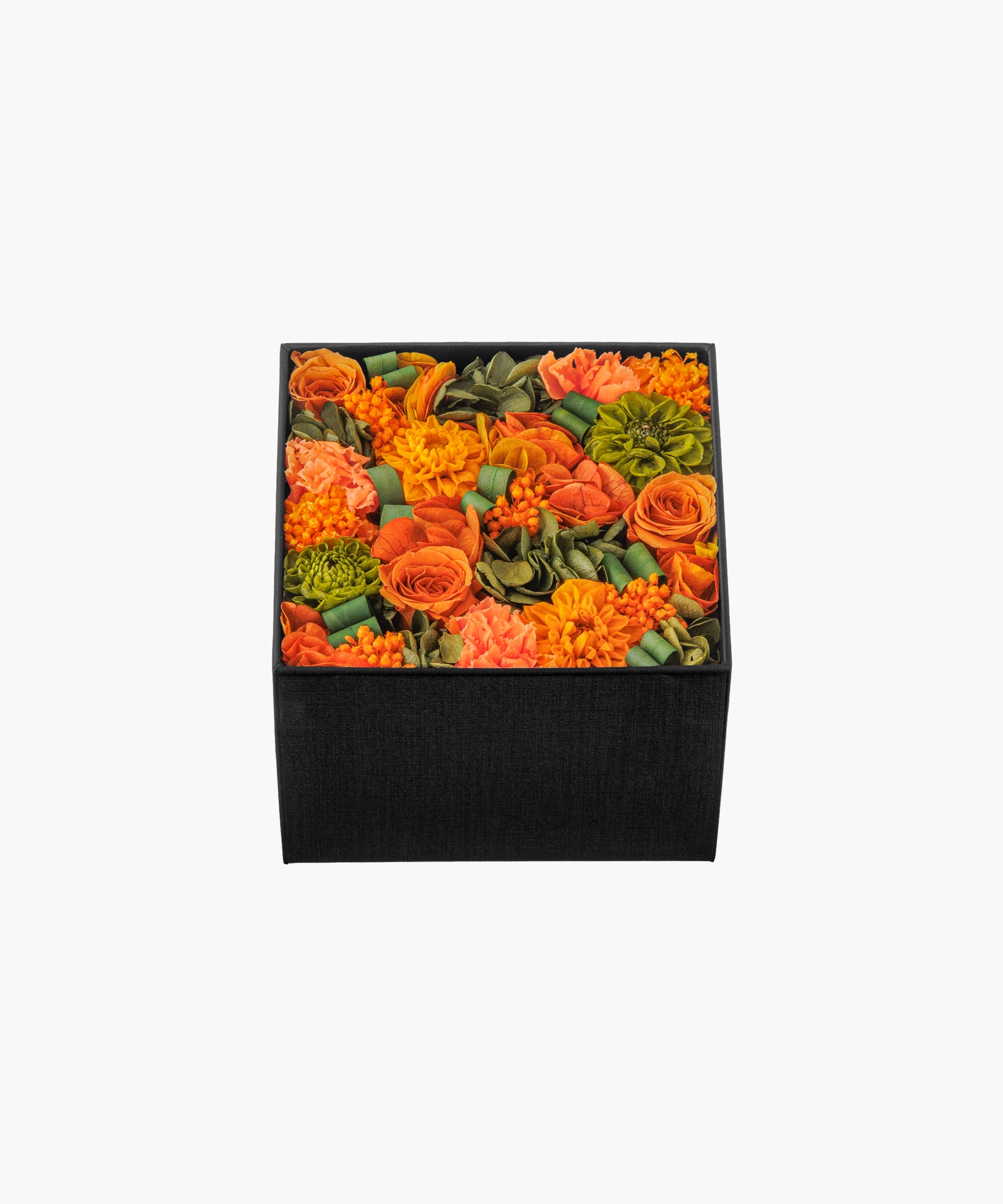 Mandarine Dahlia (マンダリンダリア)