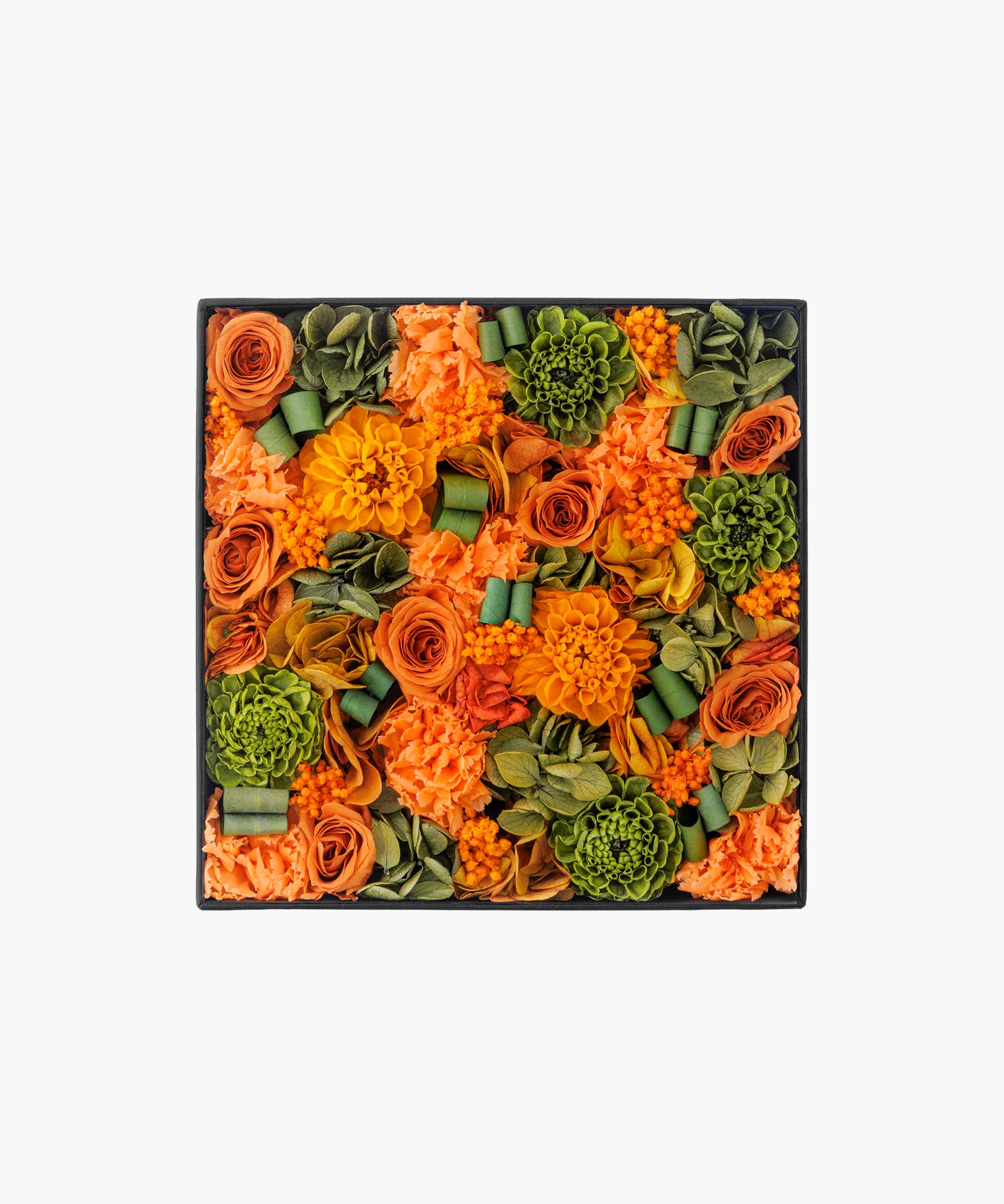 Mandarine Dahlia (マンダリンダリア)