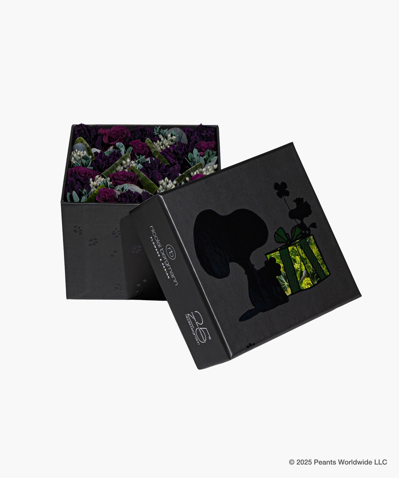 Nicolai Bergmann meets PEANUTS. - Journey Black Preserved Flower