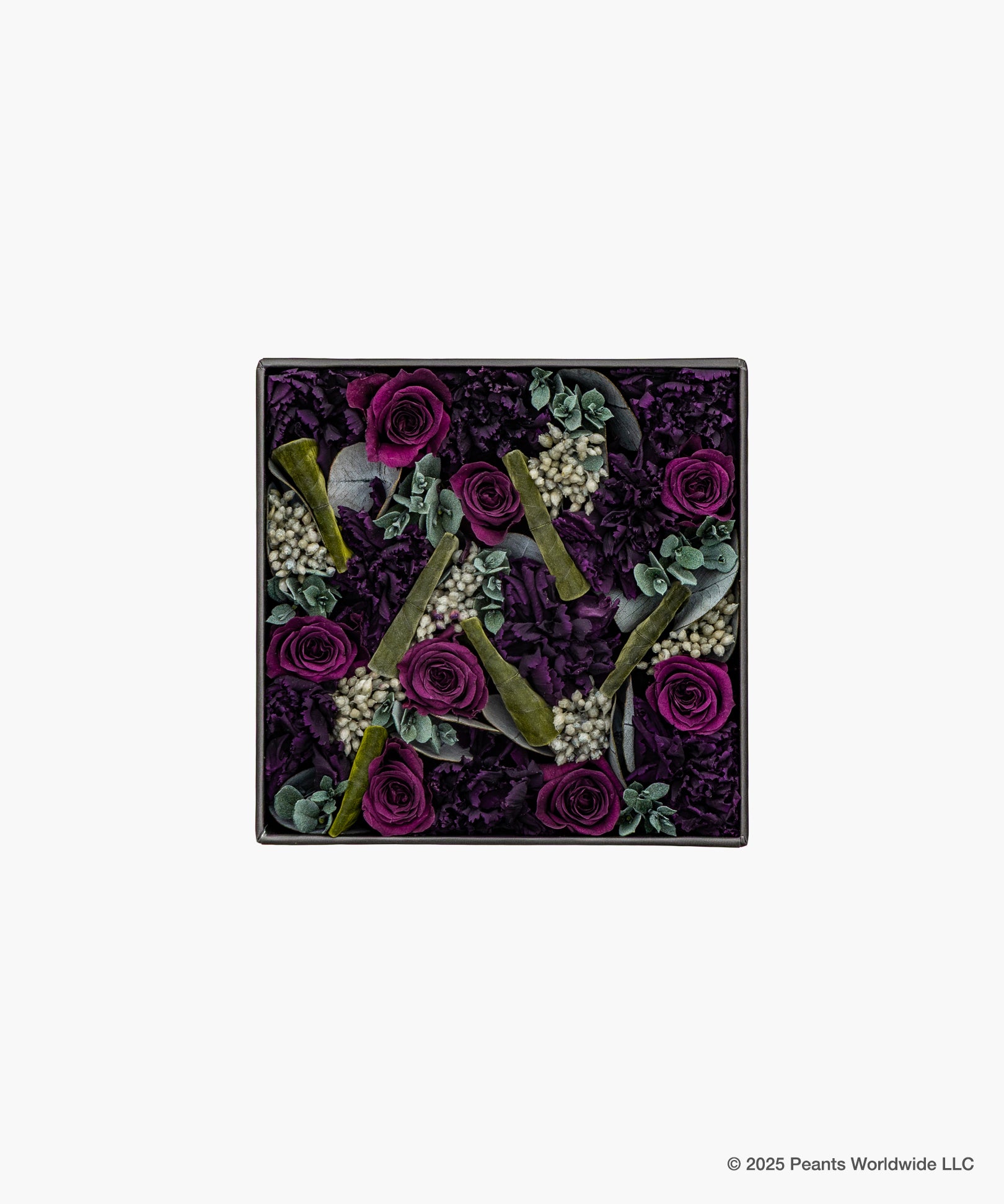 Nicolai Bergmann meets PEANUTS. - Journey Black PF