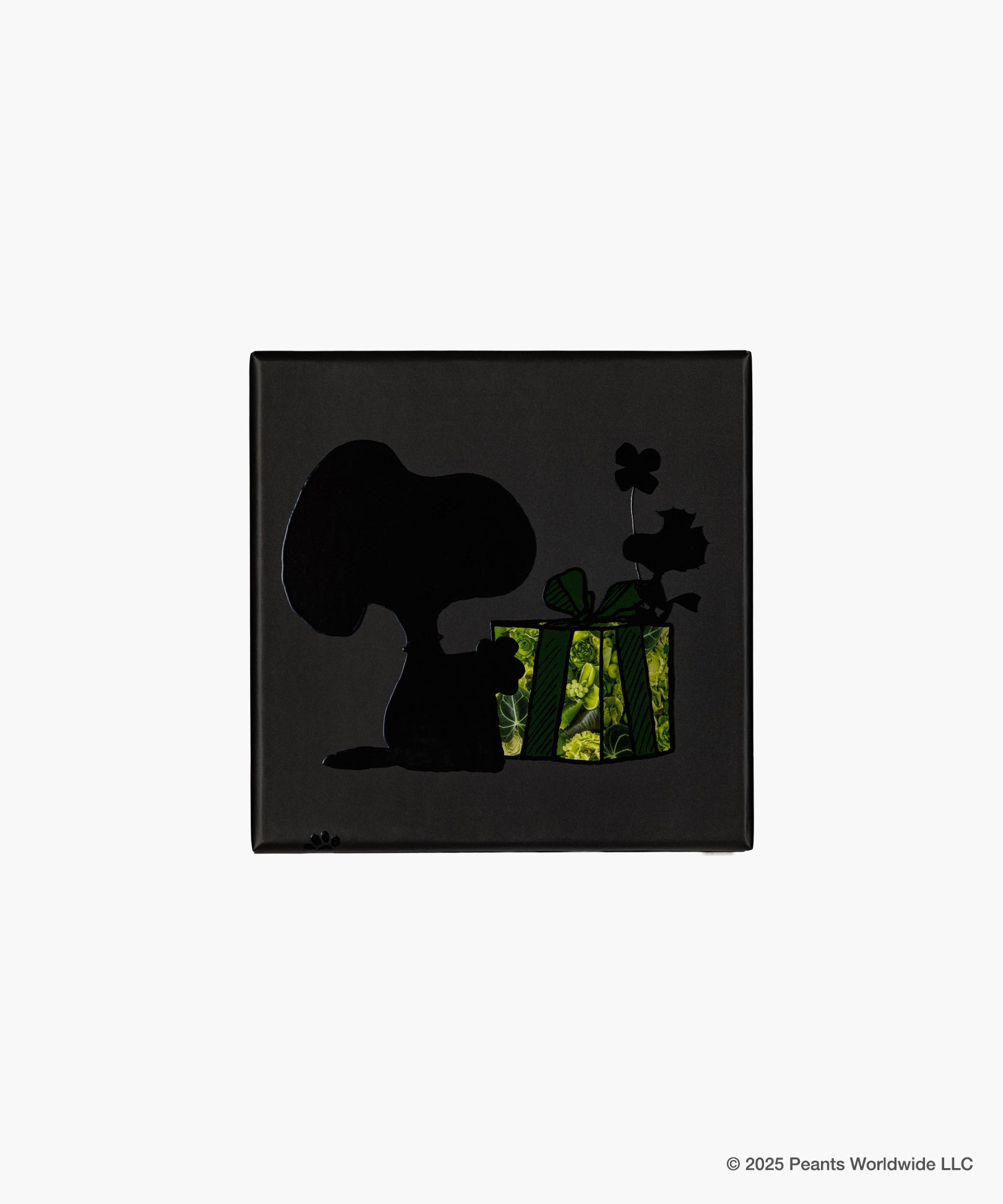 Nicolai Bergmann meets PEANUTS. - Journey Black