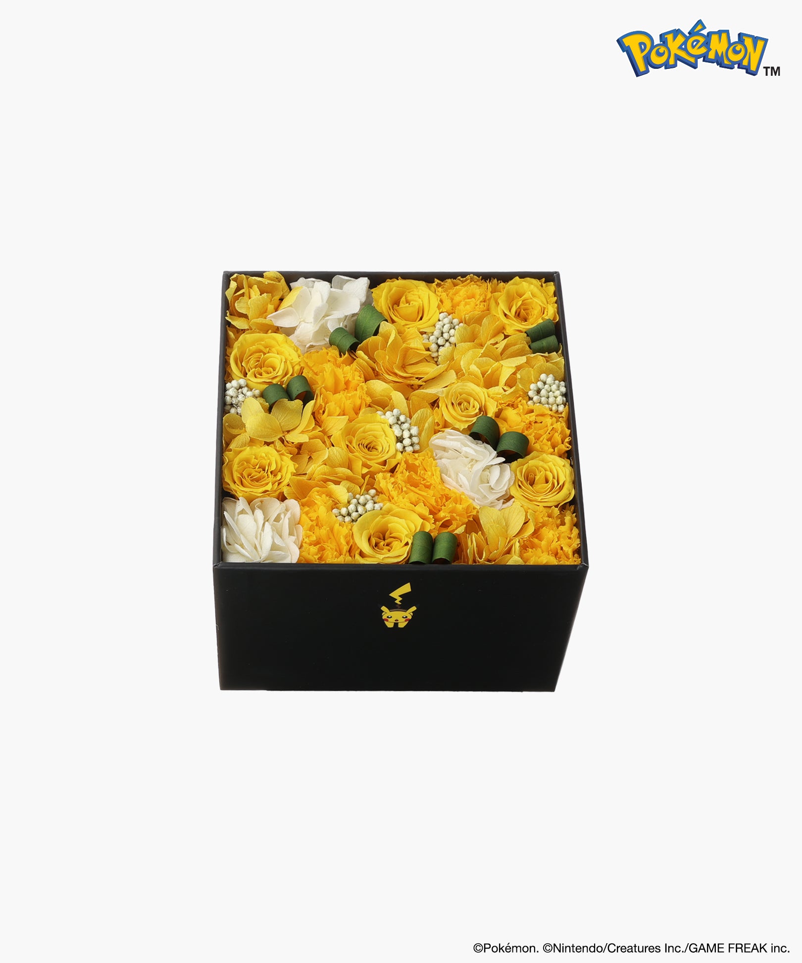 Nicolai Bergmann × Pokémon ピカチュウ