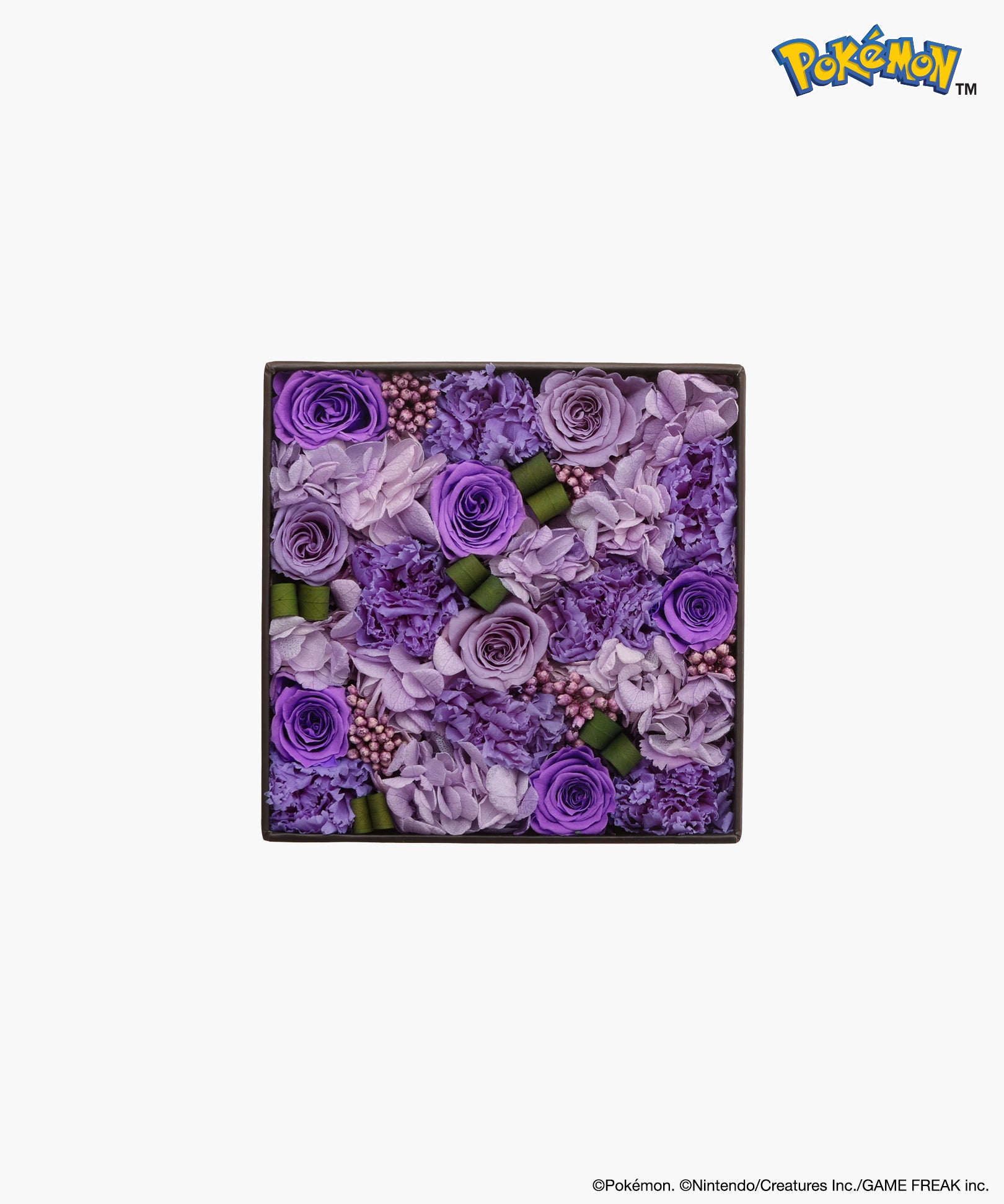 Nicolai Bergmann × Pokémon ゲンガー