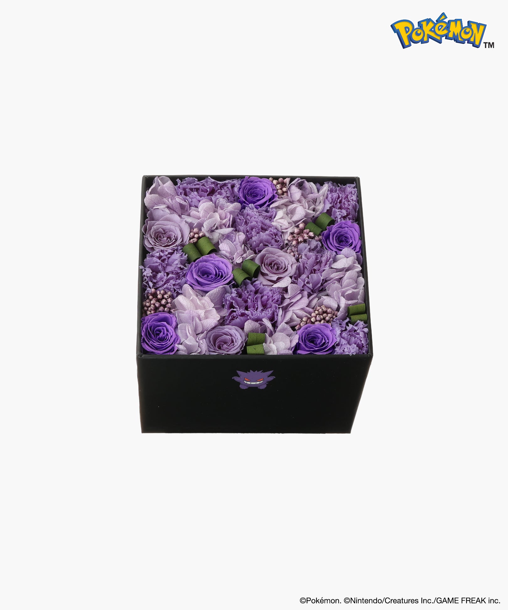 Nicolai Bergmann × Pokémon ゲンガー