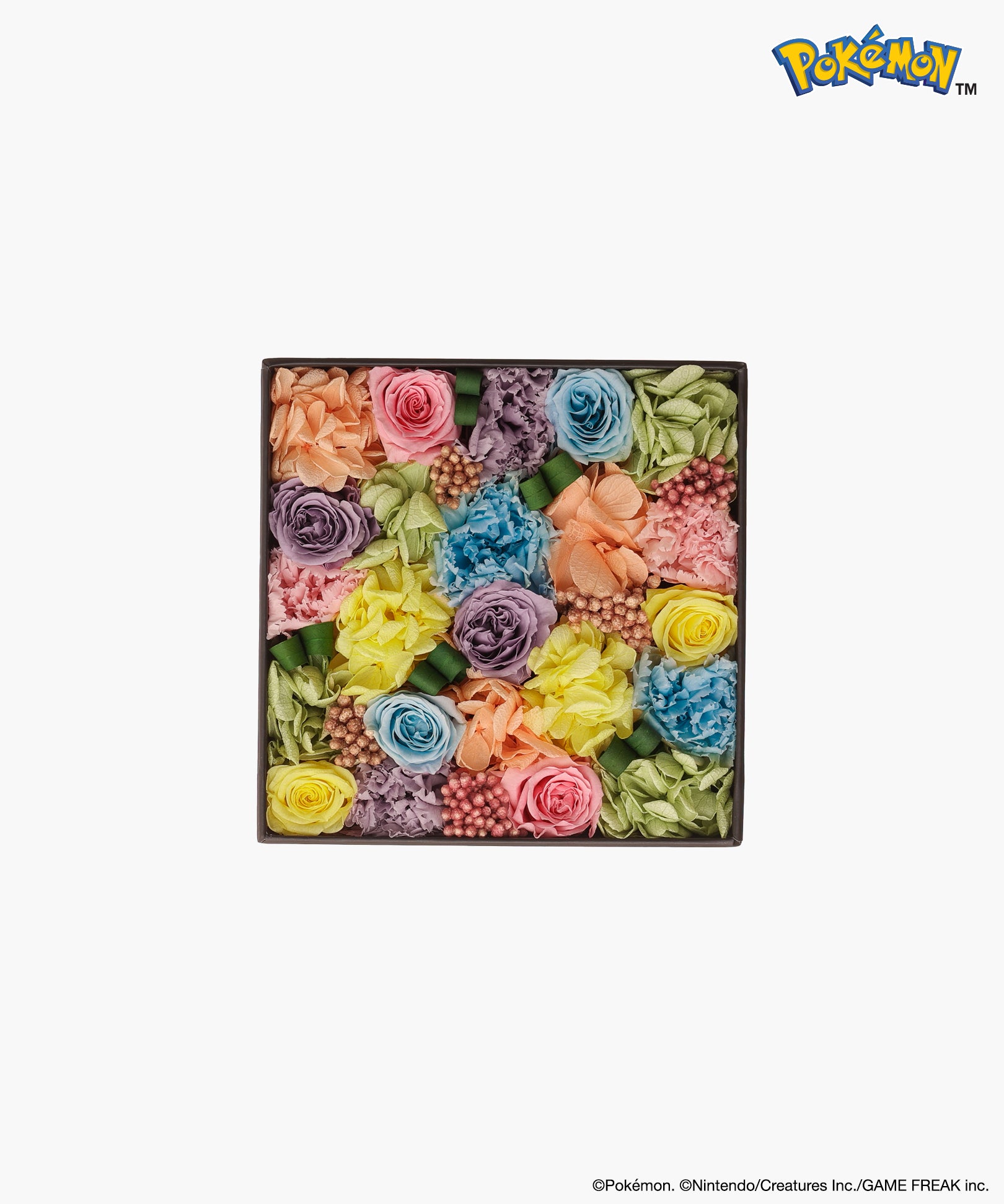 Nicolai Bergmann × Pokémon イーブイ