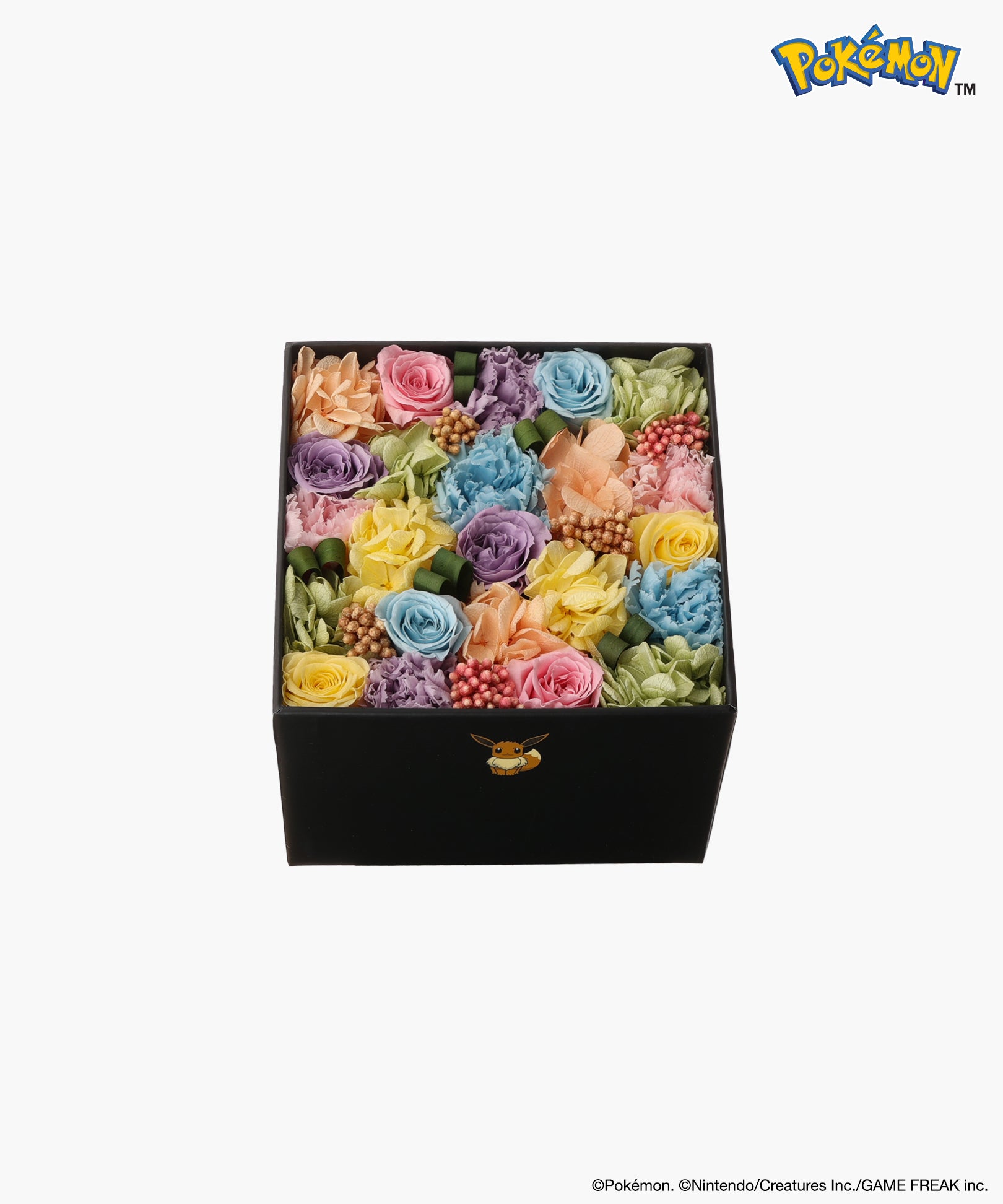 Nicolai Bergmann × Pokémon イーブイ