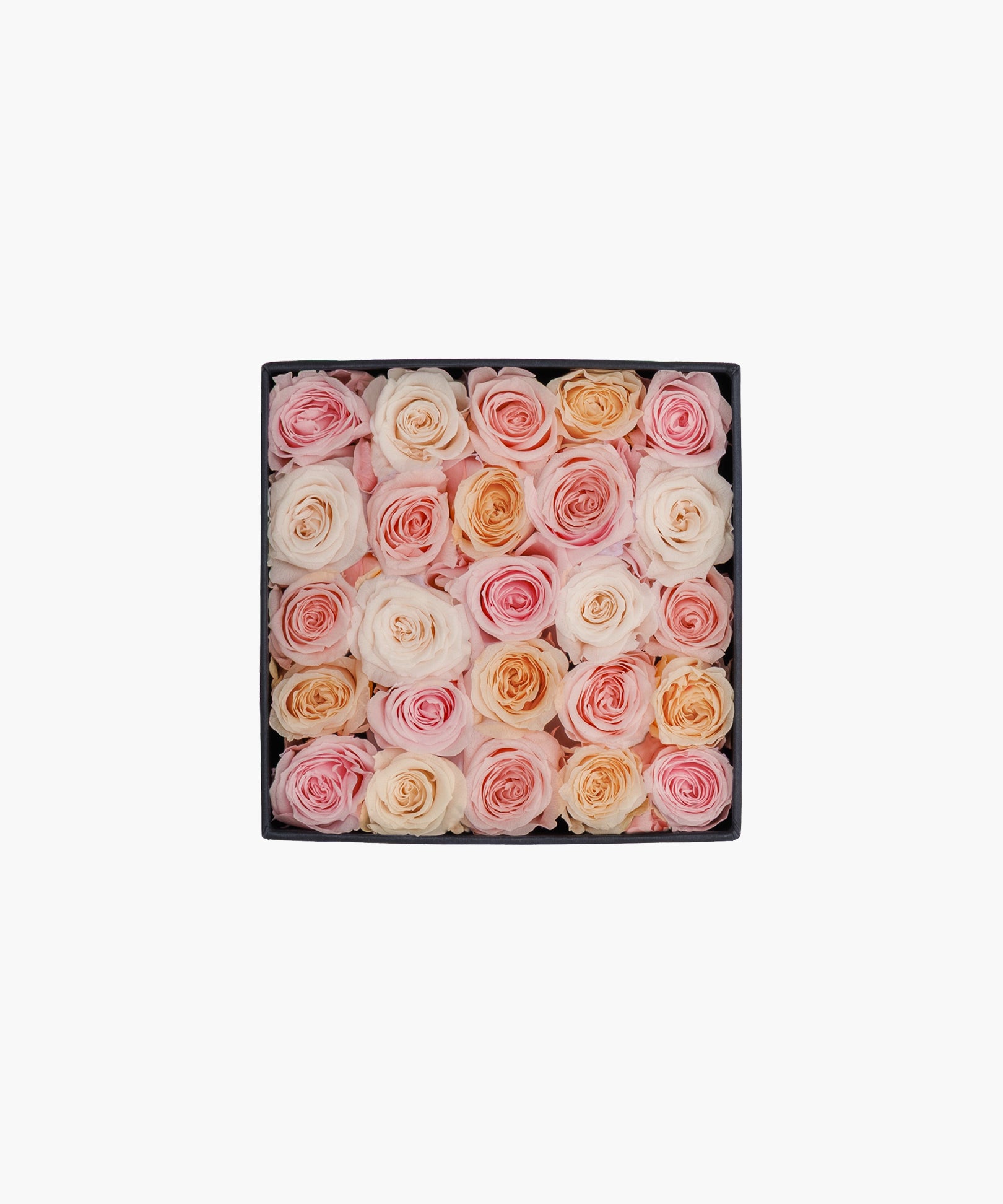 Soft Roses (ソフト ロージズ)