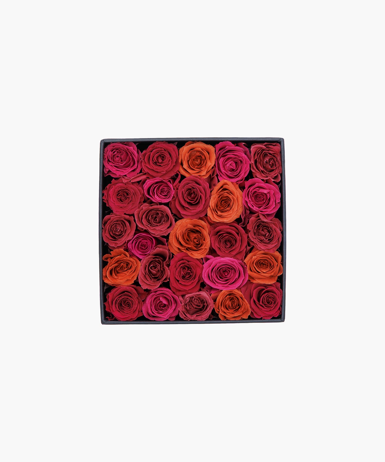 Burgundy Roses (バーガンディ ロージズ)