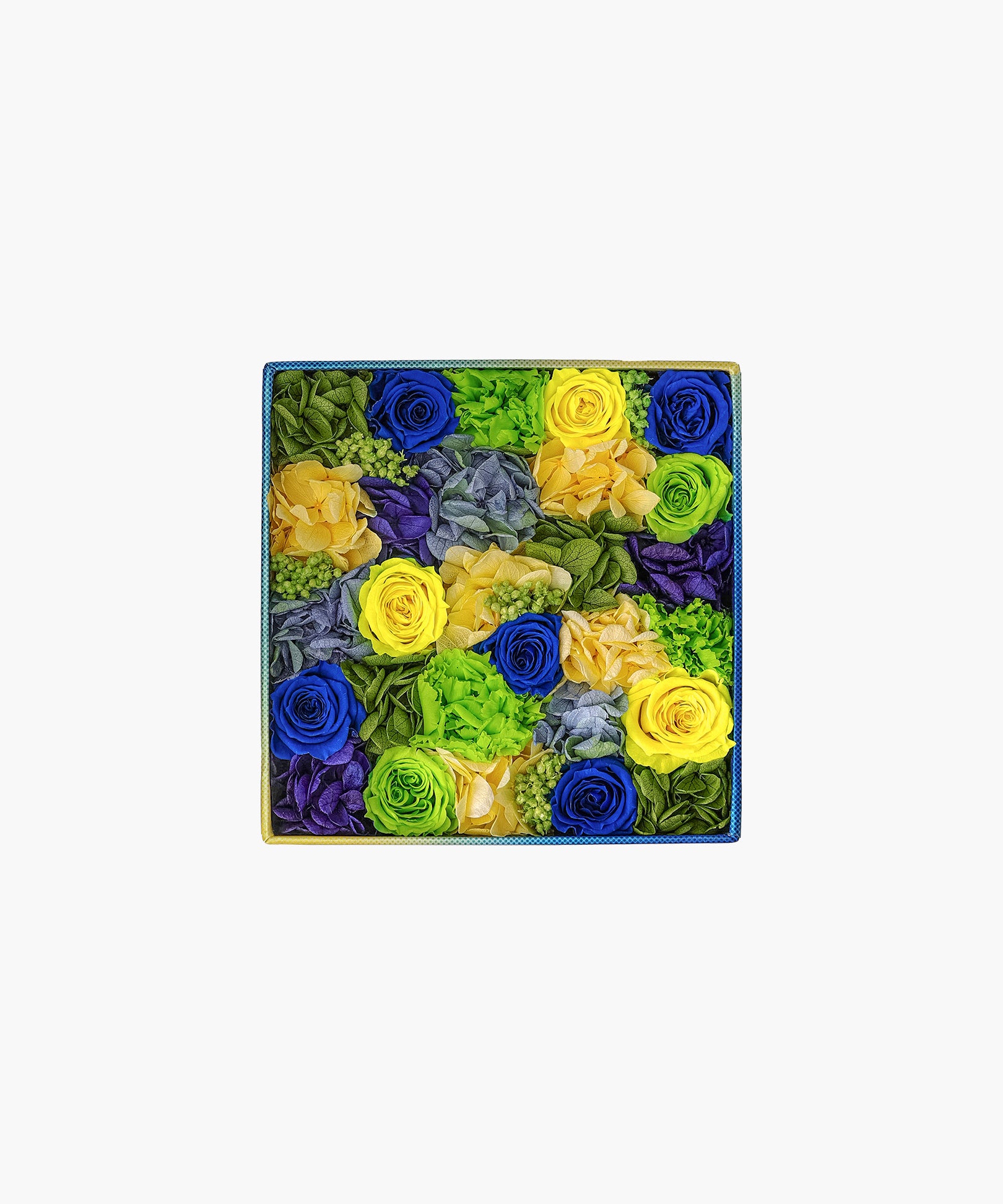 Bloomy (ブルーミー)
