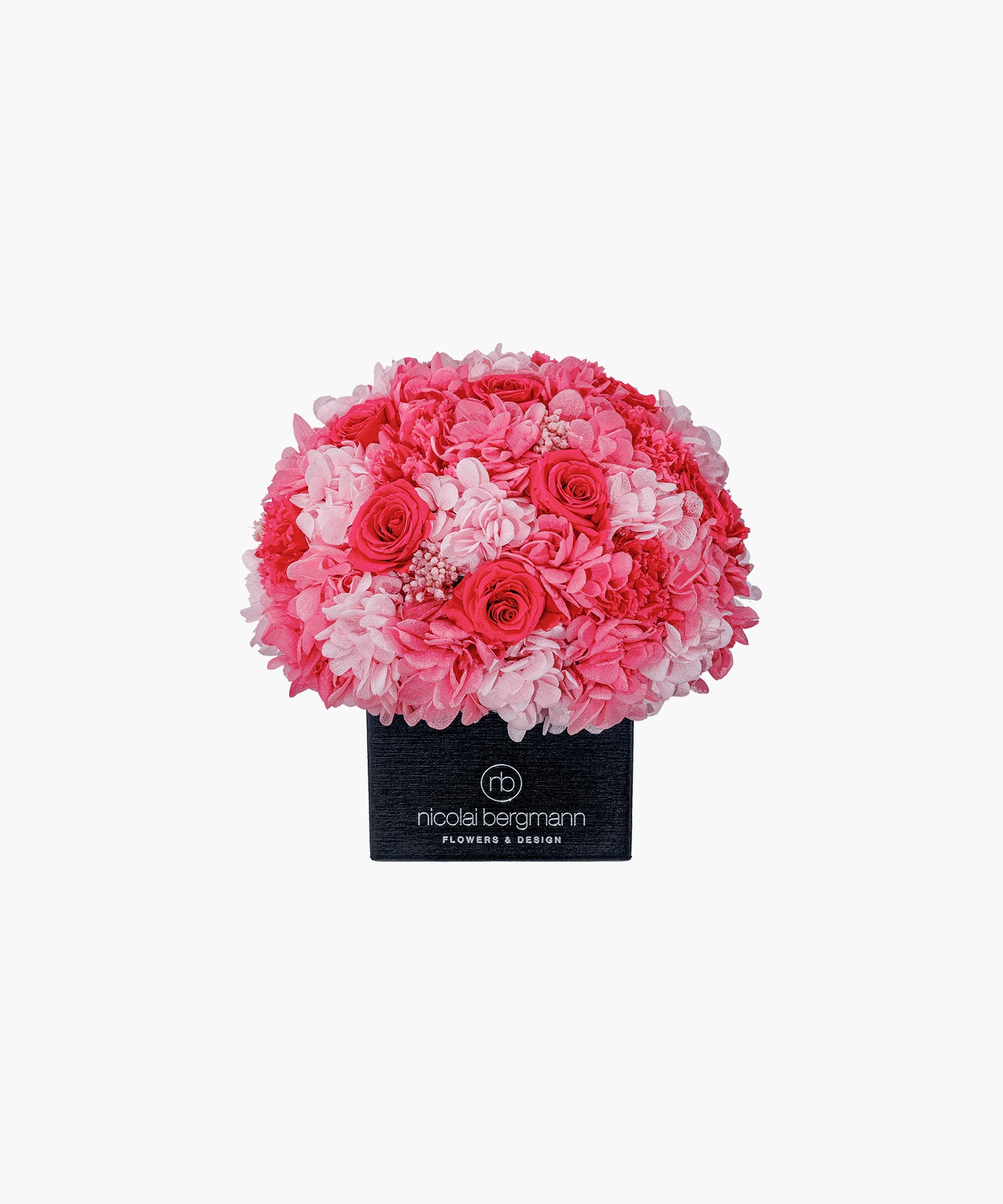 Passion Splash(パッション スプラッシュ)