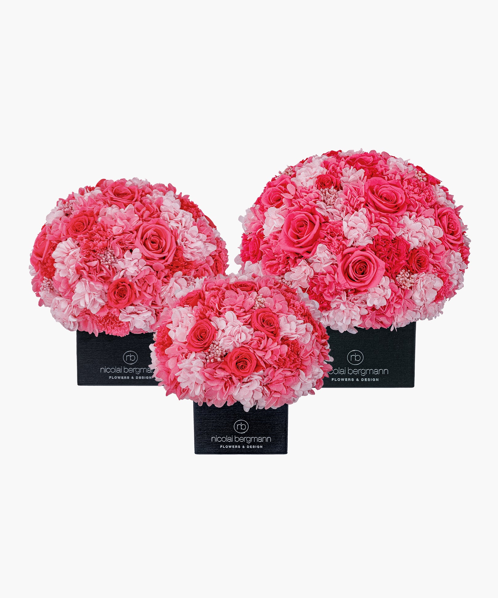 Passion Splash(パッション スプラッシュ)