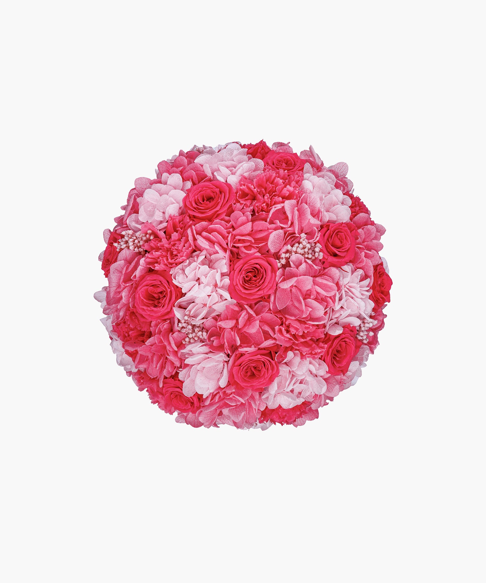 Passion Splash(パッション スプラッシュ)