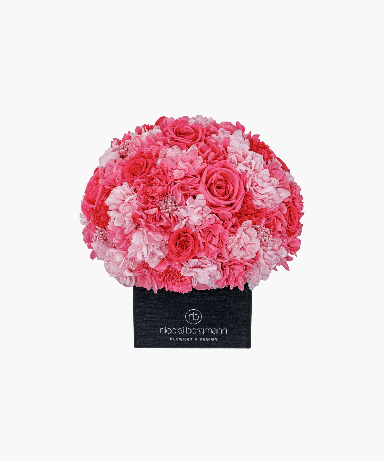 Passion Splash(パッション スプラッシュ)