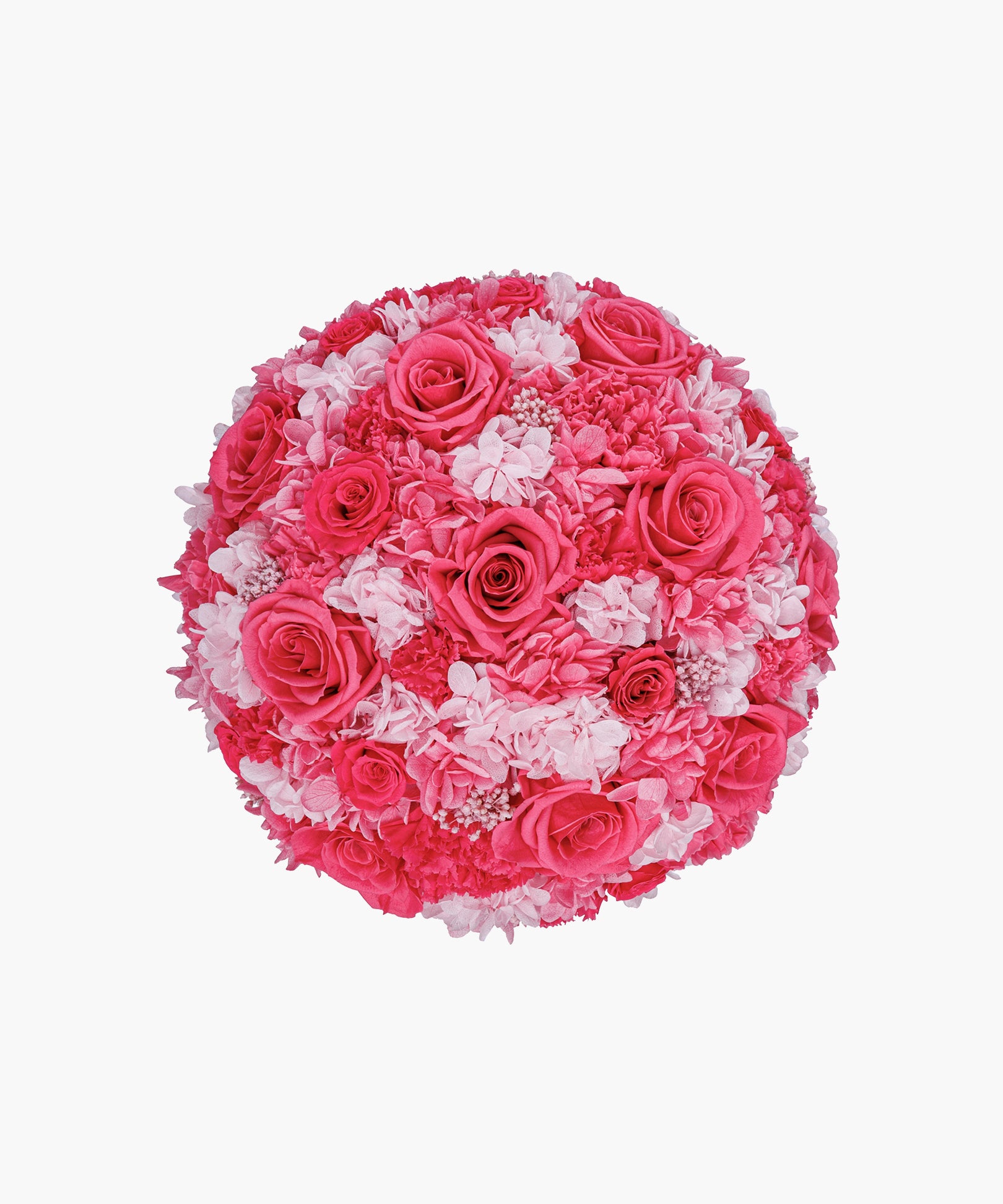 Passion Splash(パッション スプラッシュ)