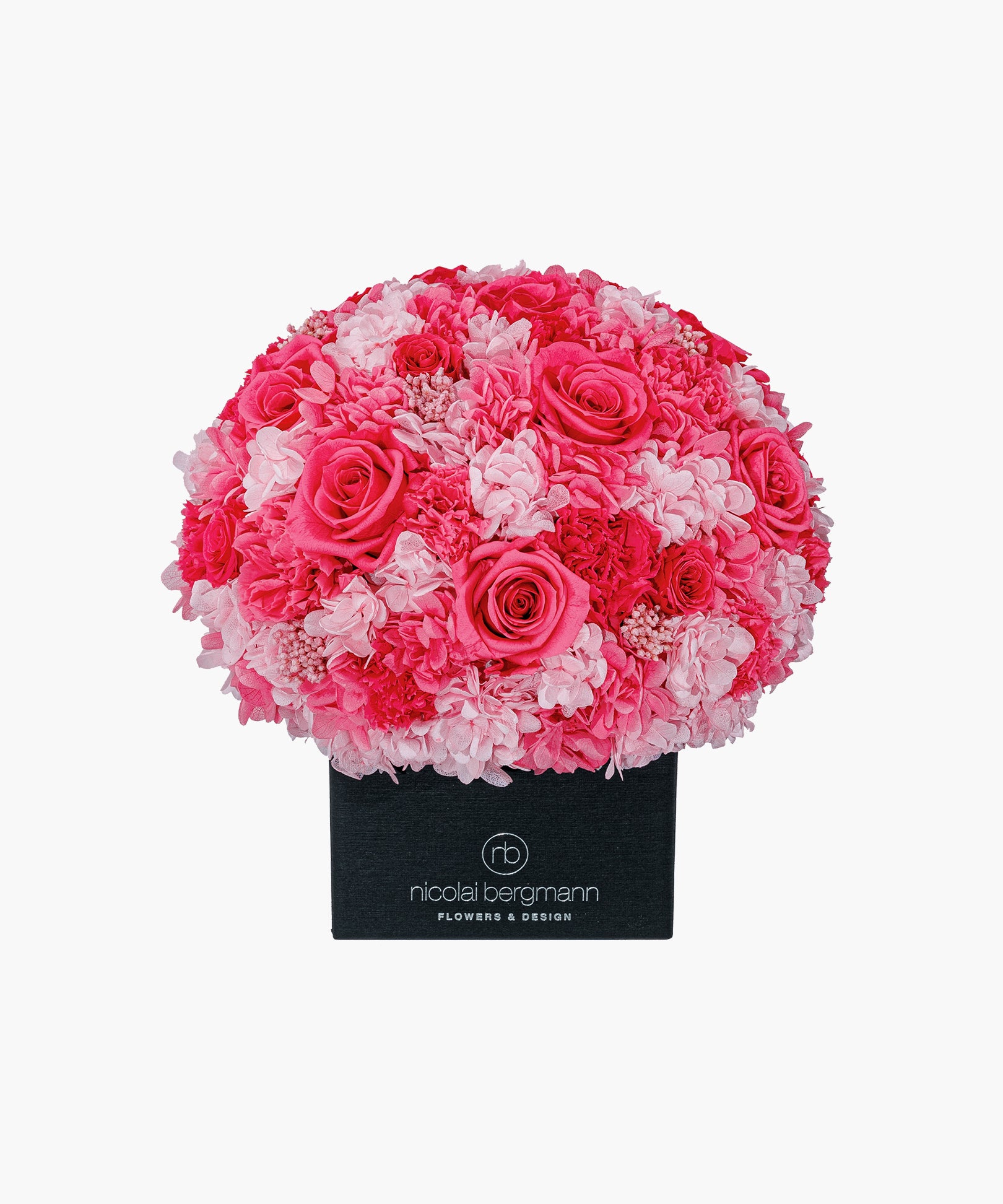 Passion Splash(パッション スプラッシュ)