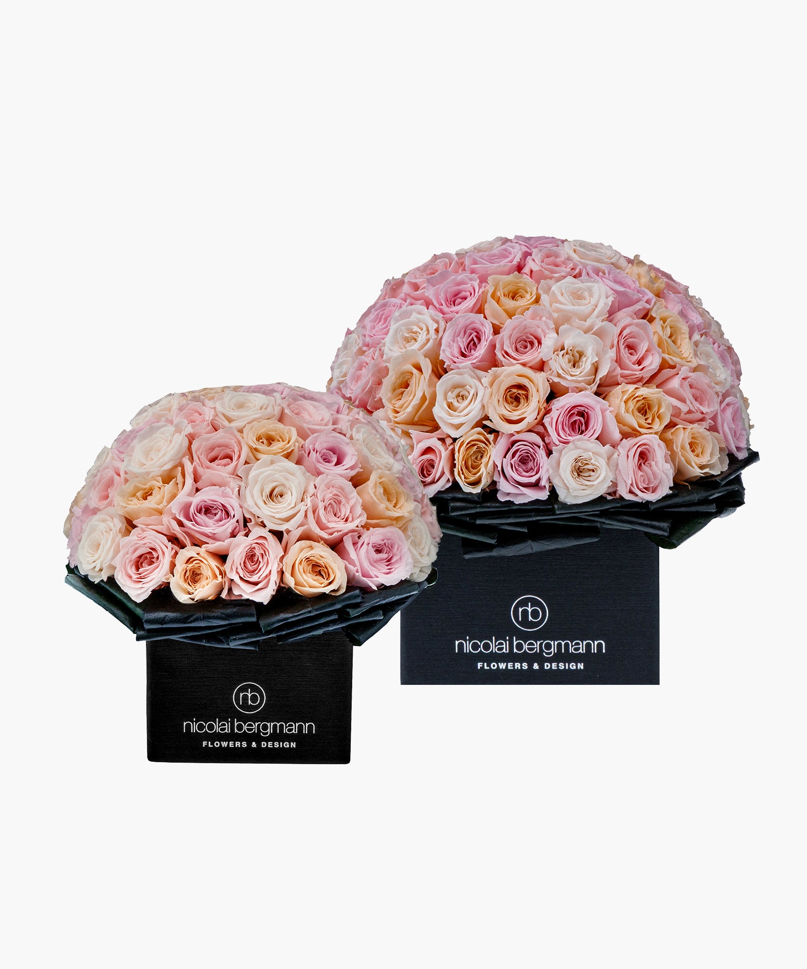 Purity Roses