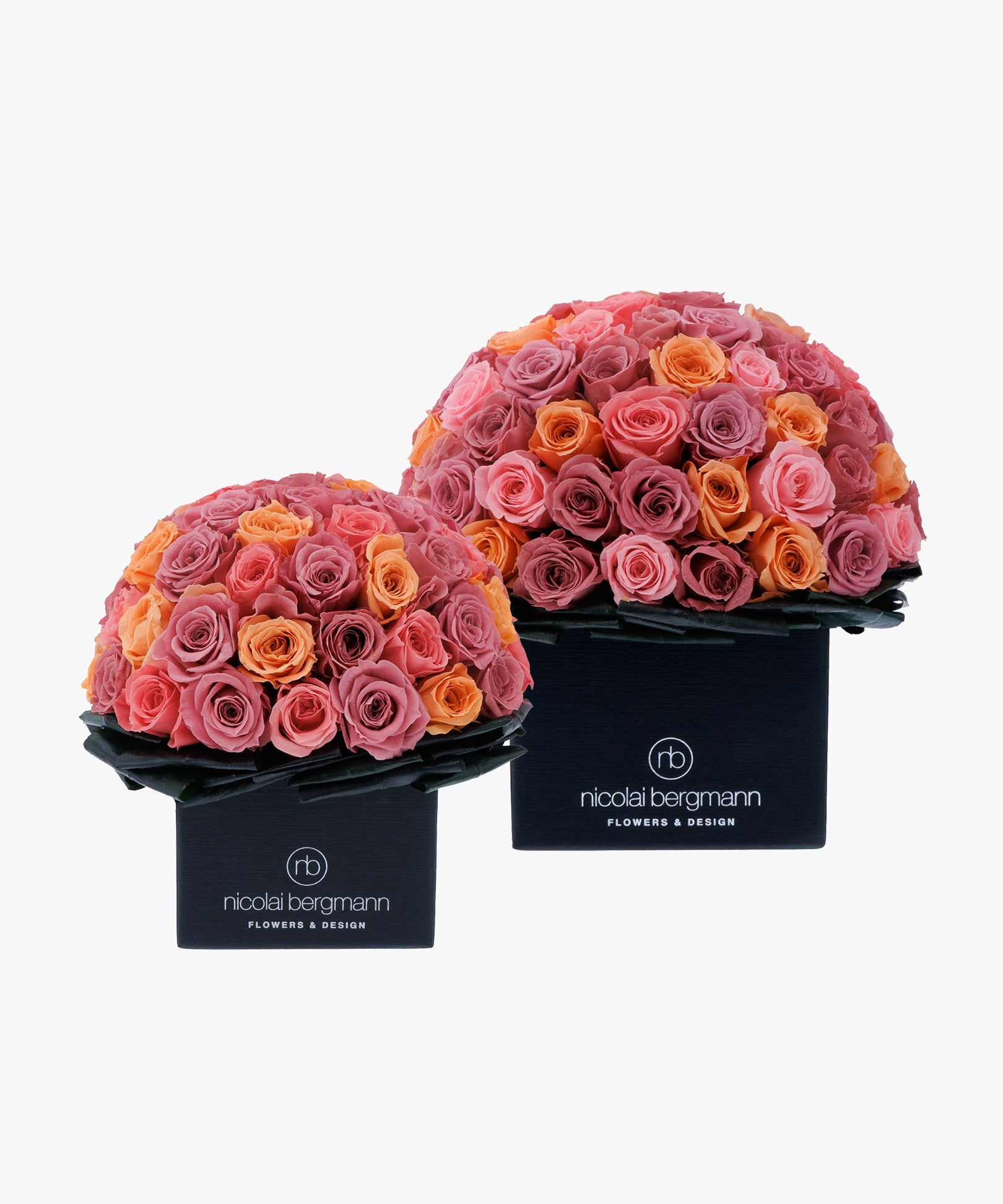 Sunset Roses