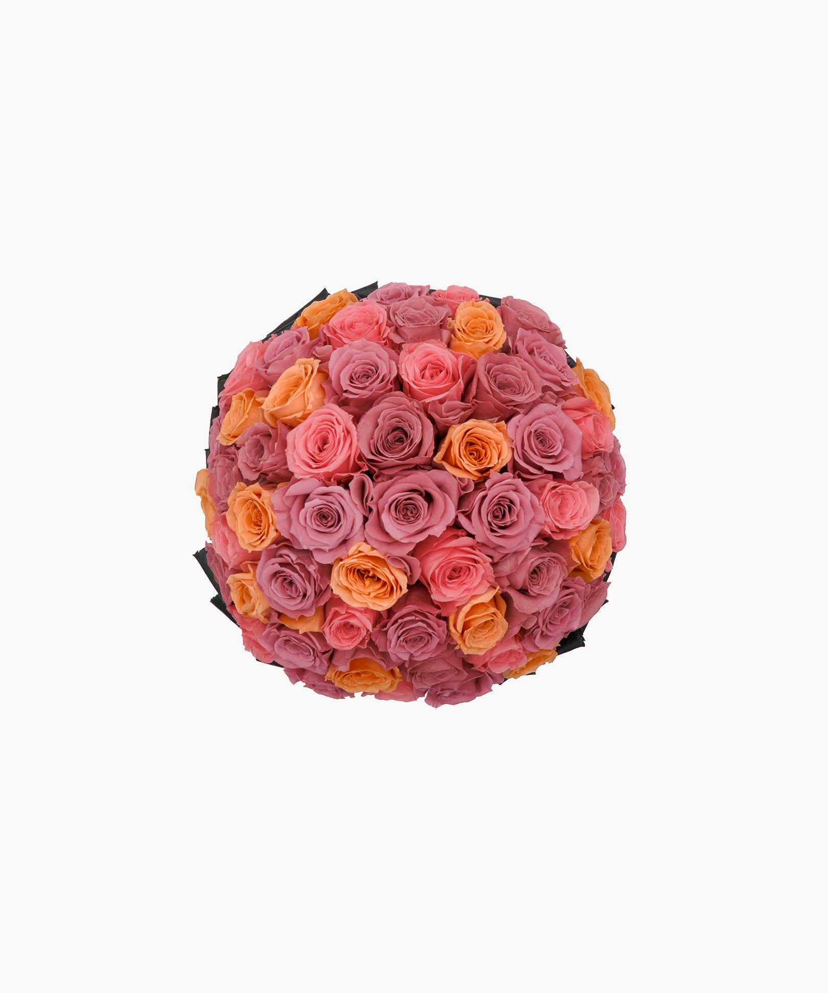 Sunset Roses
