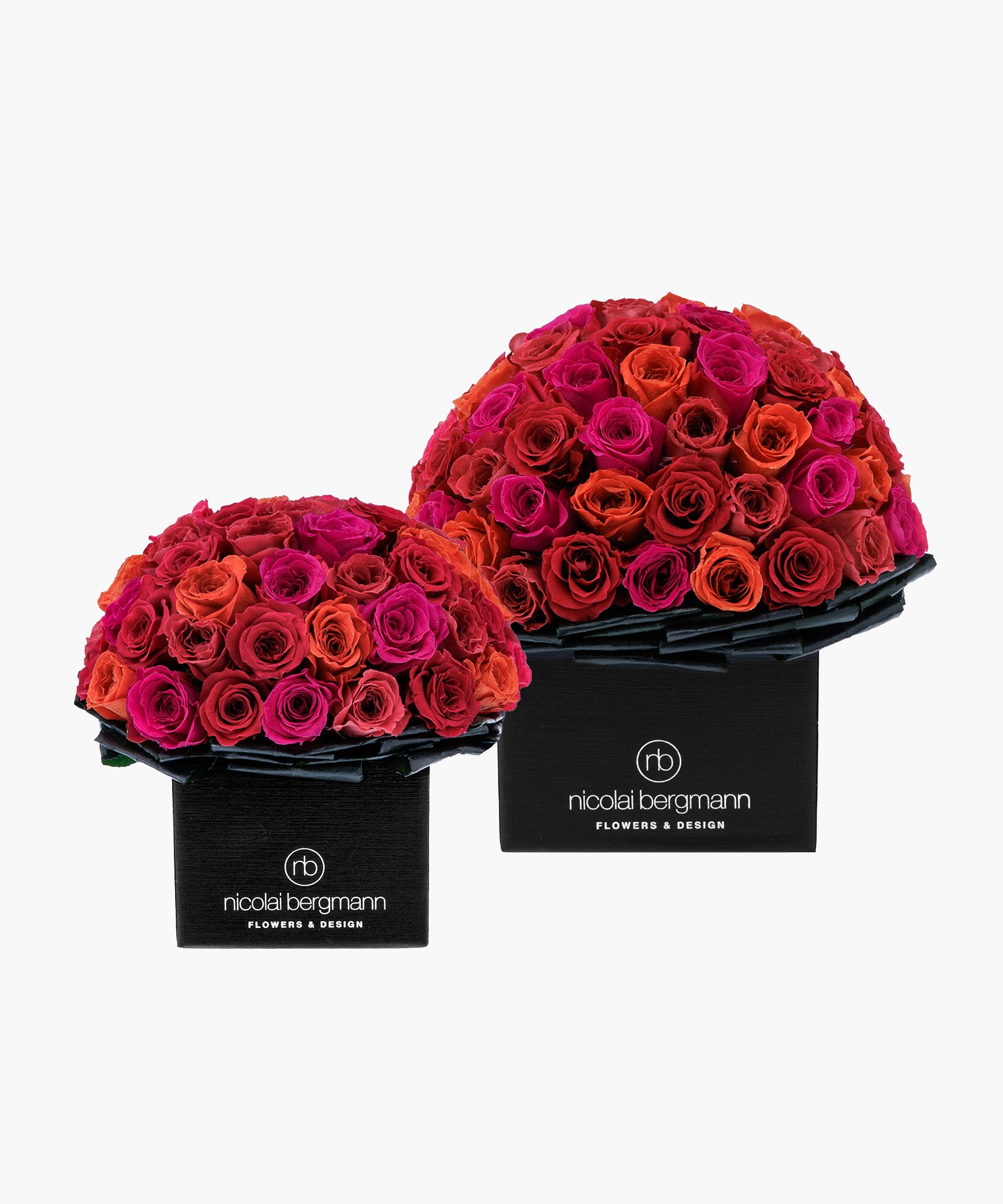 Crimson Roses