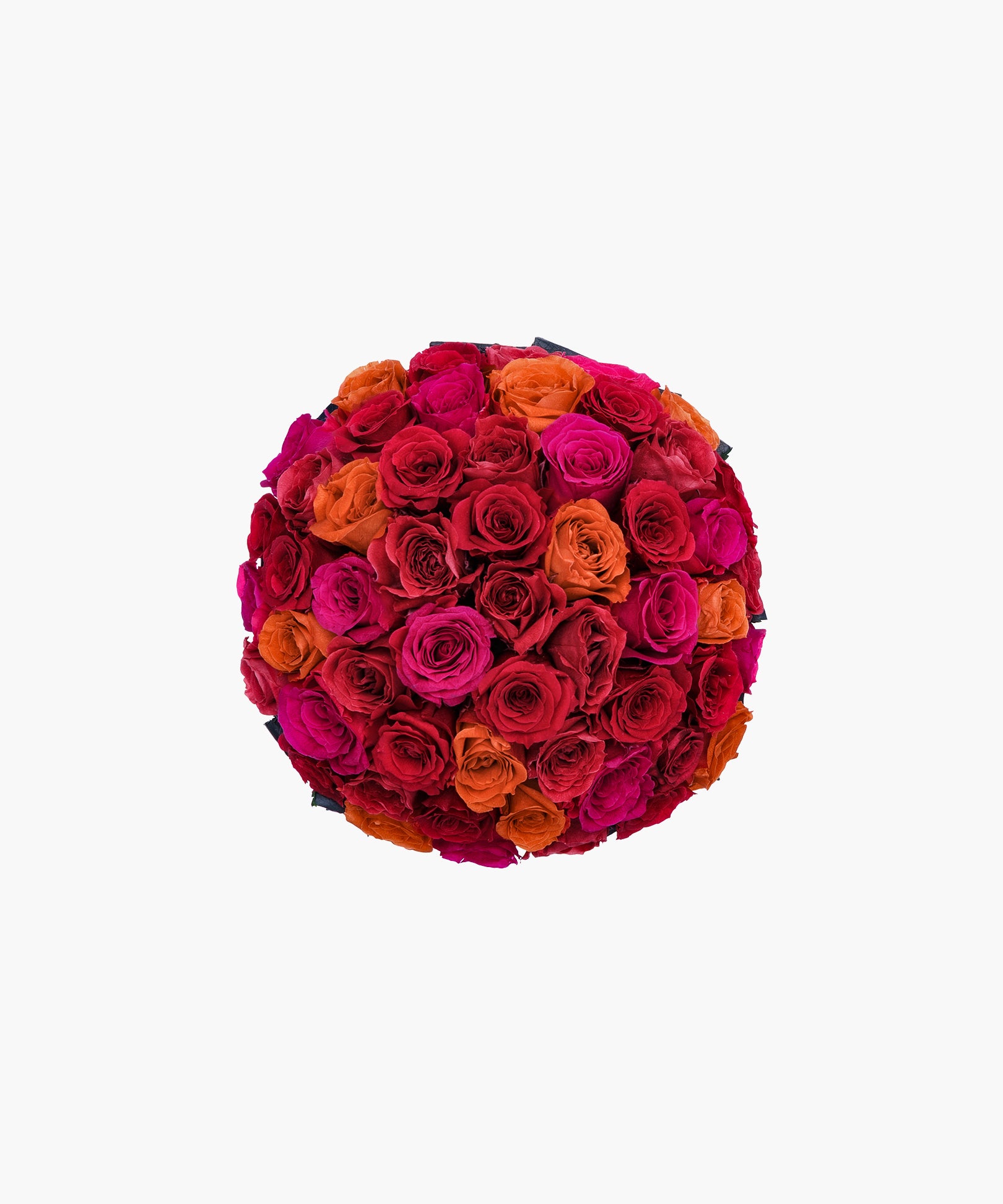 Crimson Roses