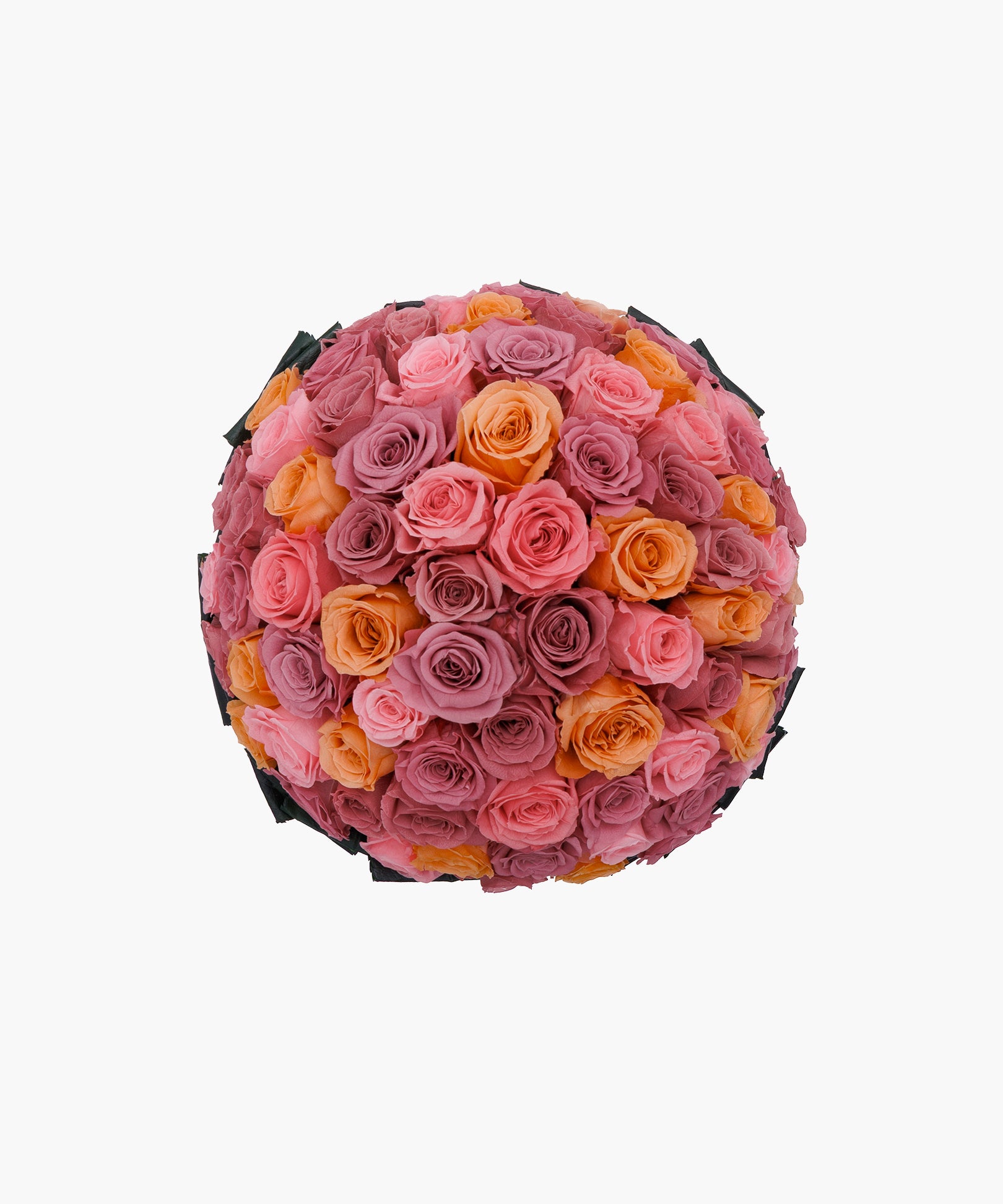 Sunset Roses