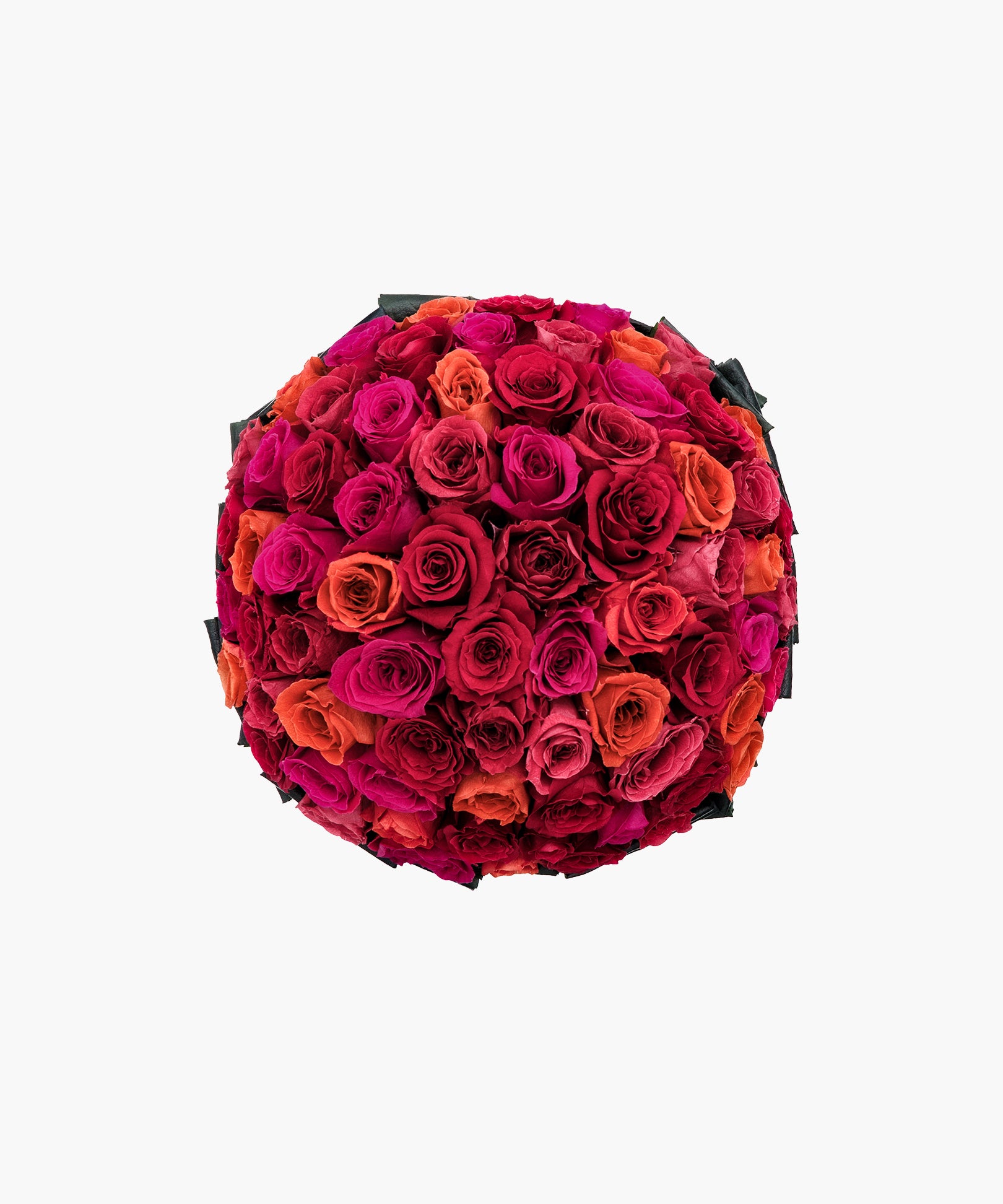 Crimson Roses