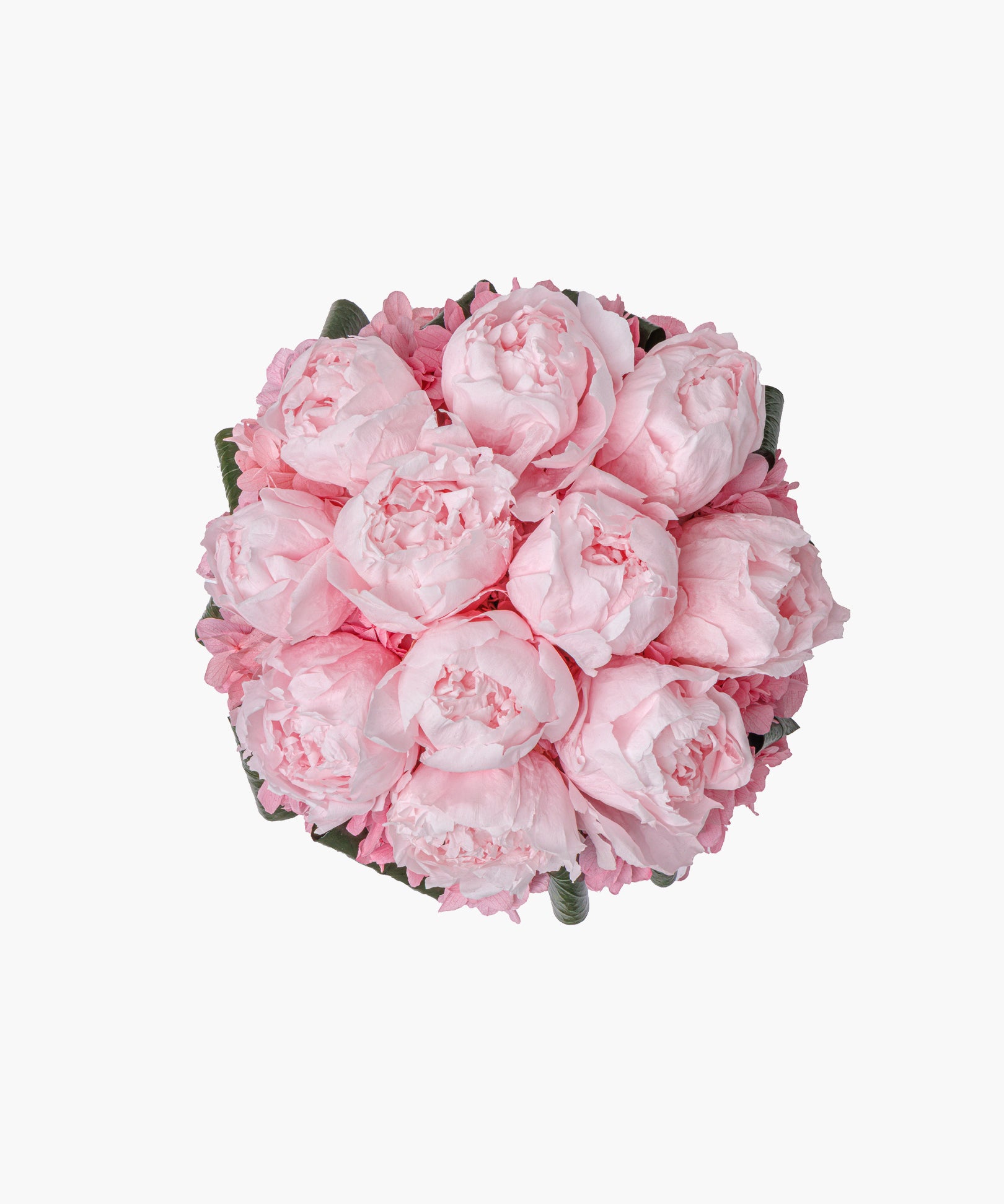 Peony Cube – Soft Pink(ピオニーキューブ – ソフトピンク)