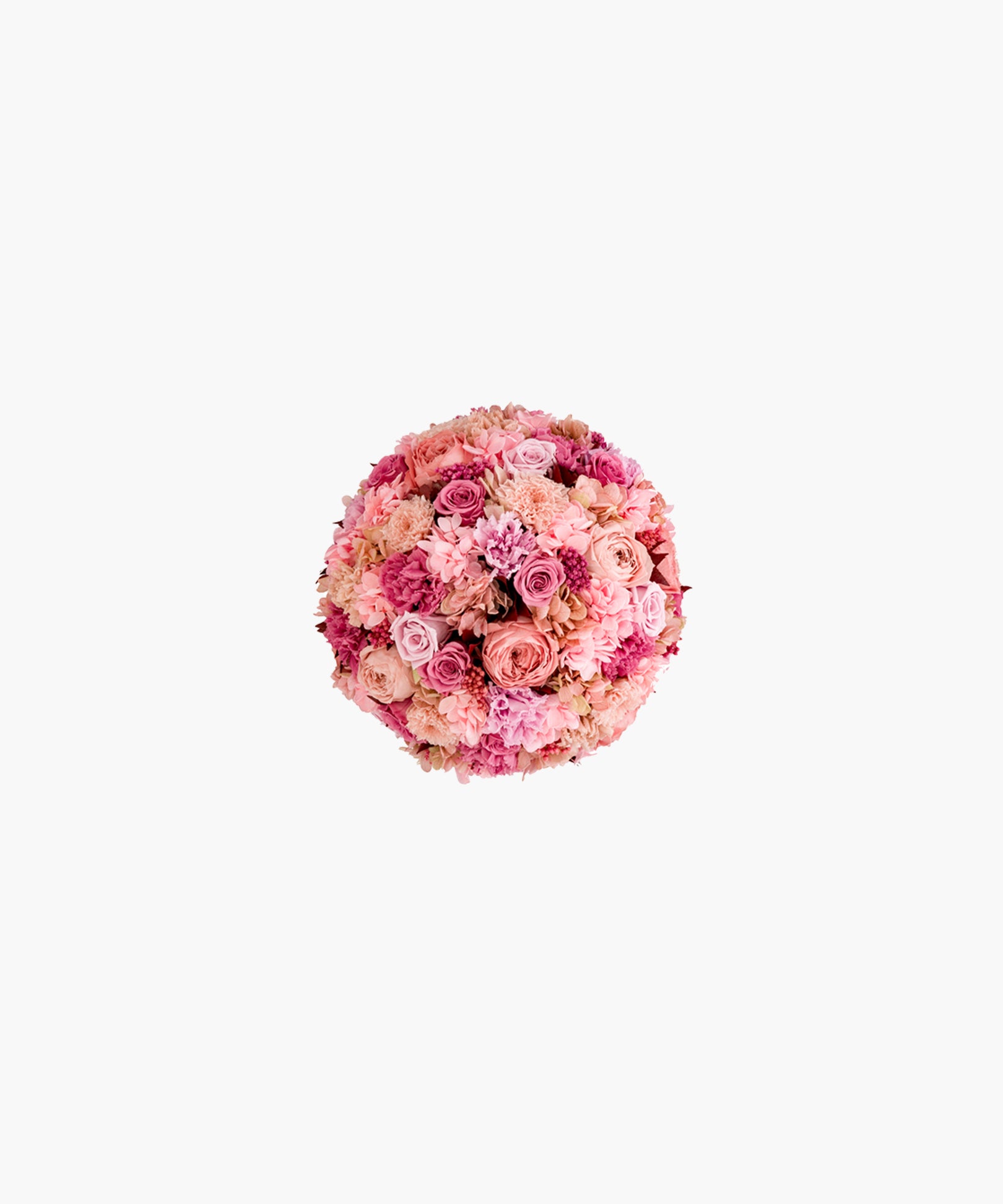 Pink Phase