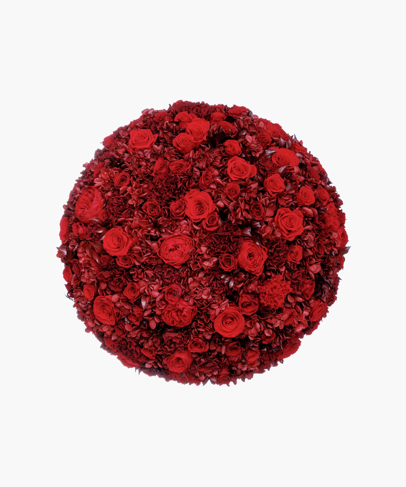 Praise Red