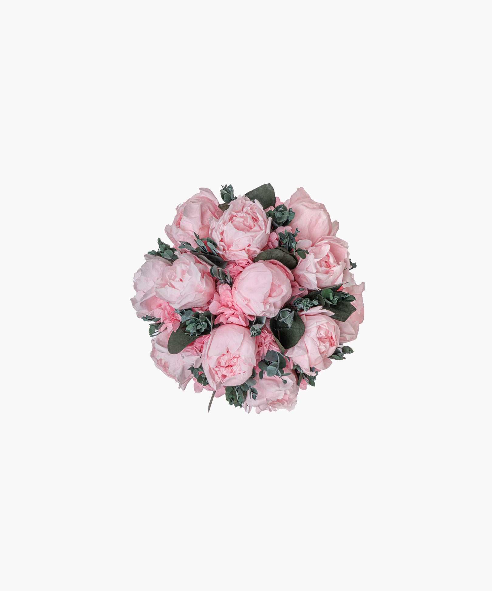 Peony Arrangement – Soft Pink(ピオニー アレンジメント – ソフトピンク)