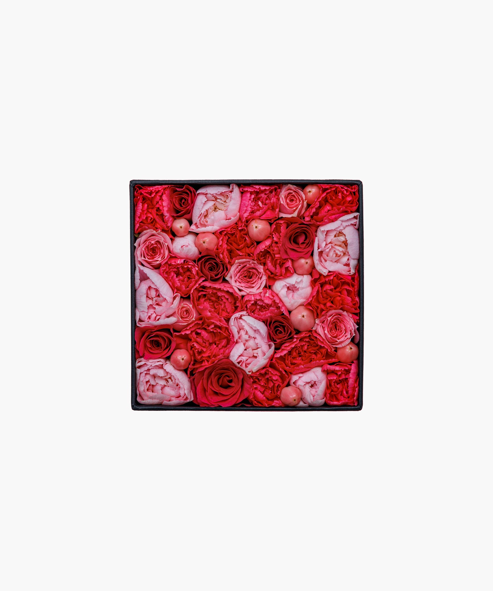 Pink Darling (ピンク ダーリン)