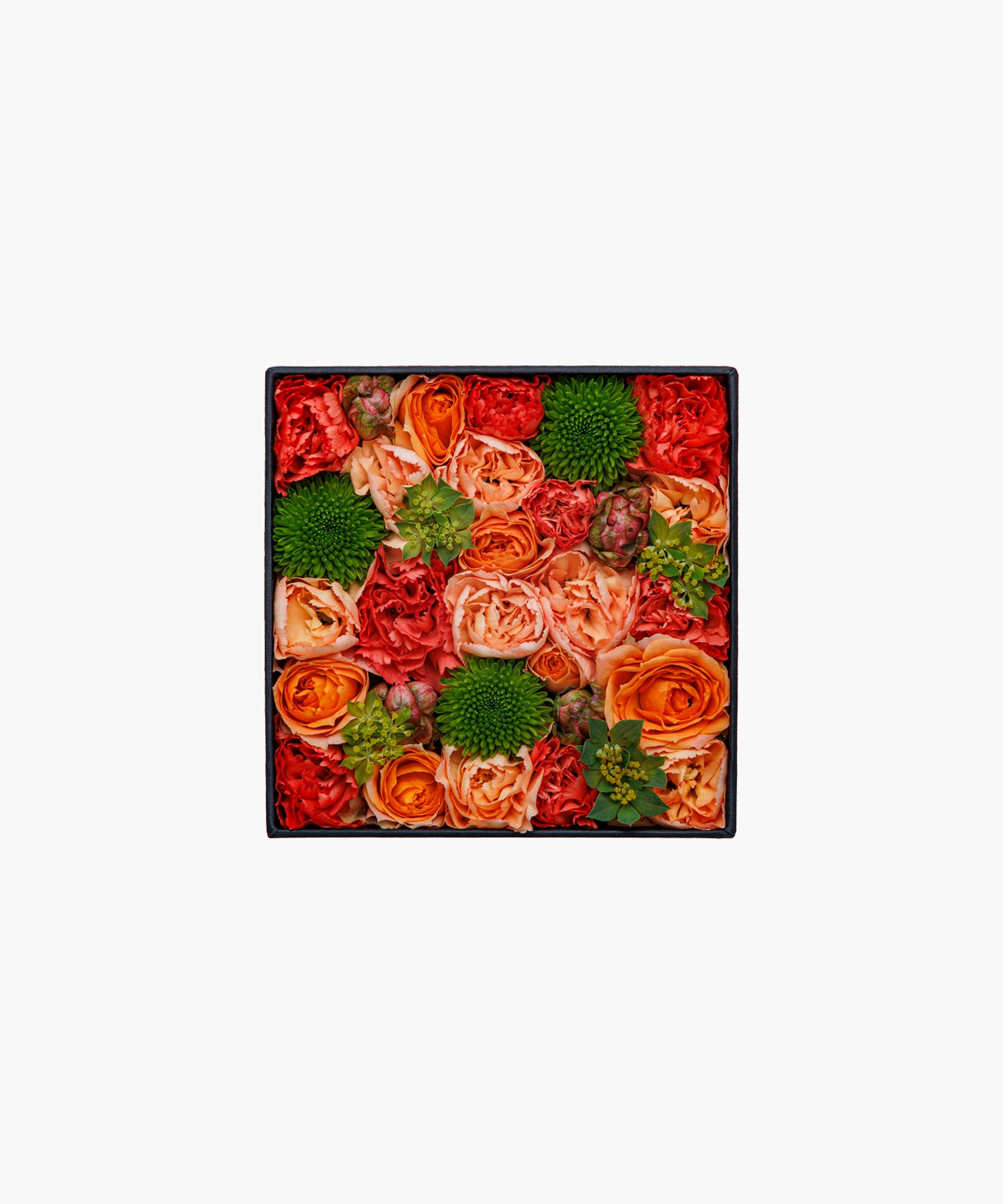 Sunny Scent (サニー セント)