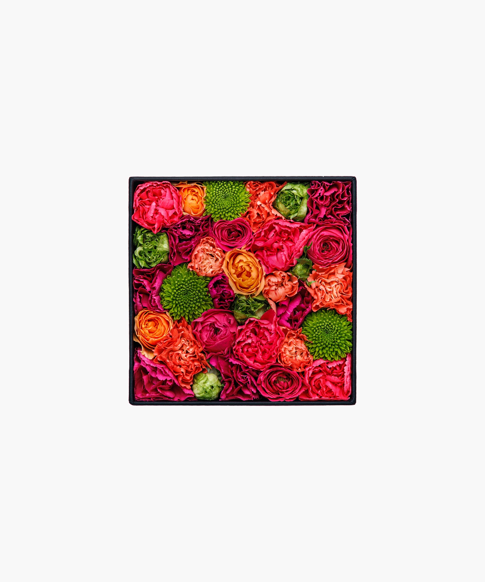 Vibrant Vibes (バイブラント バイブス)