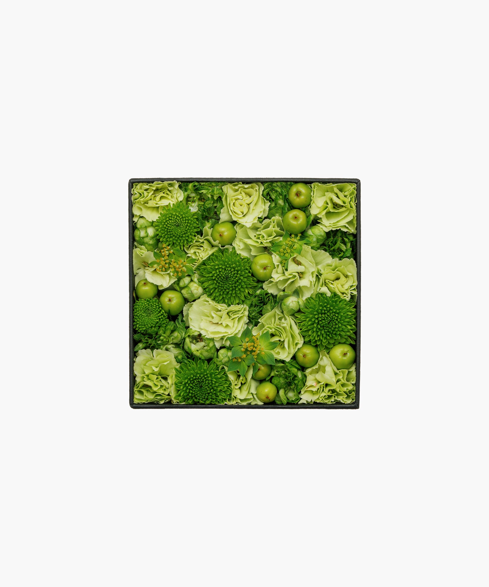 Garden Party (ガーデン パーティー)