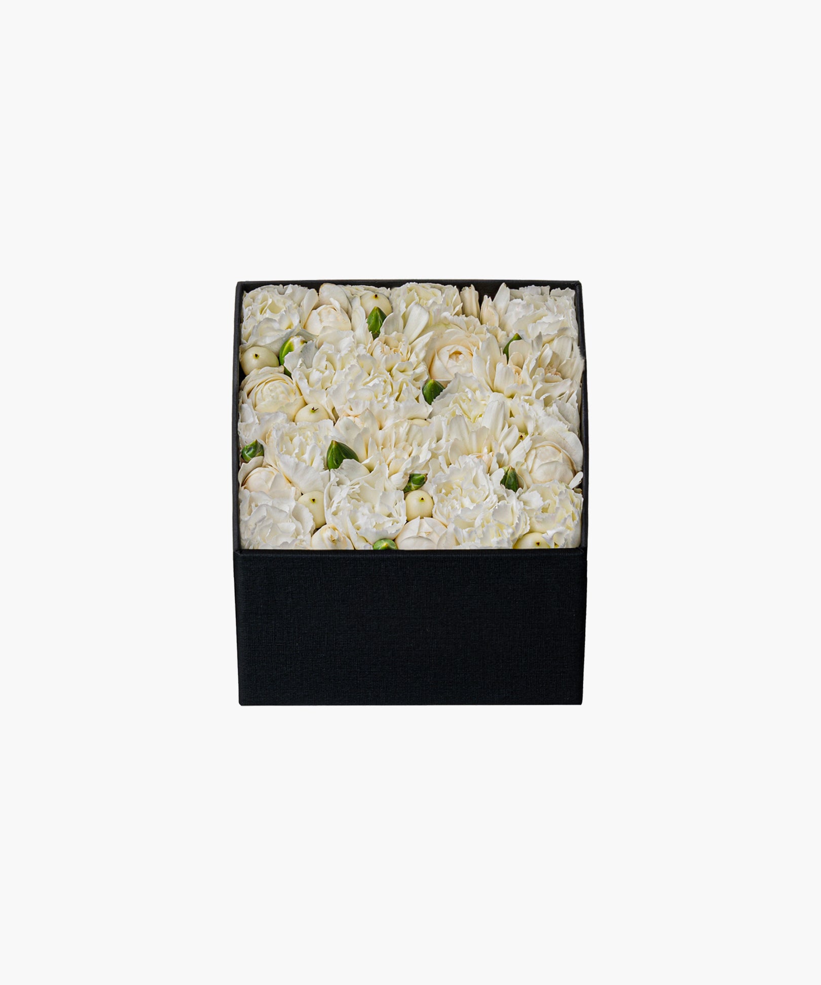 Classic Beauty (クラシック ビューティー)