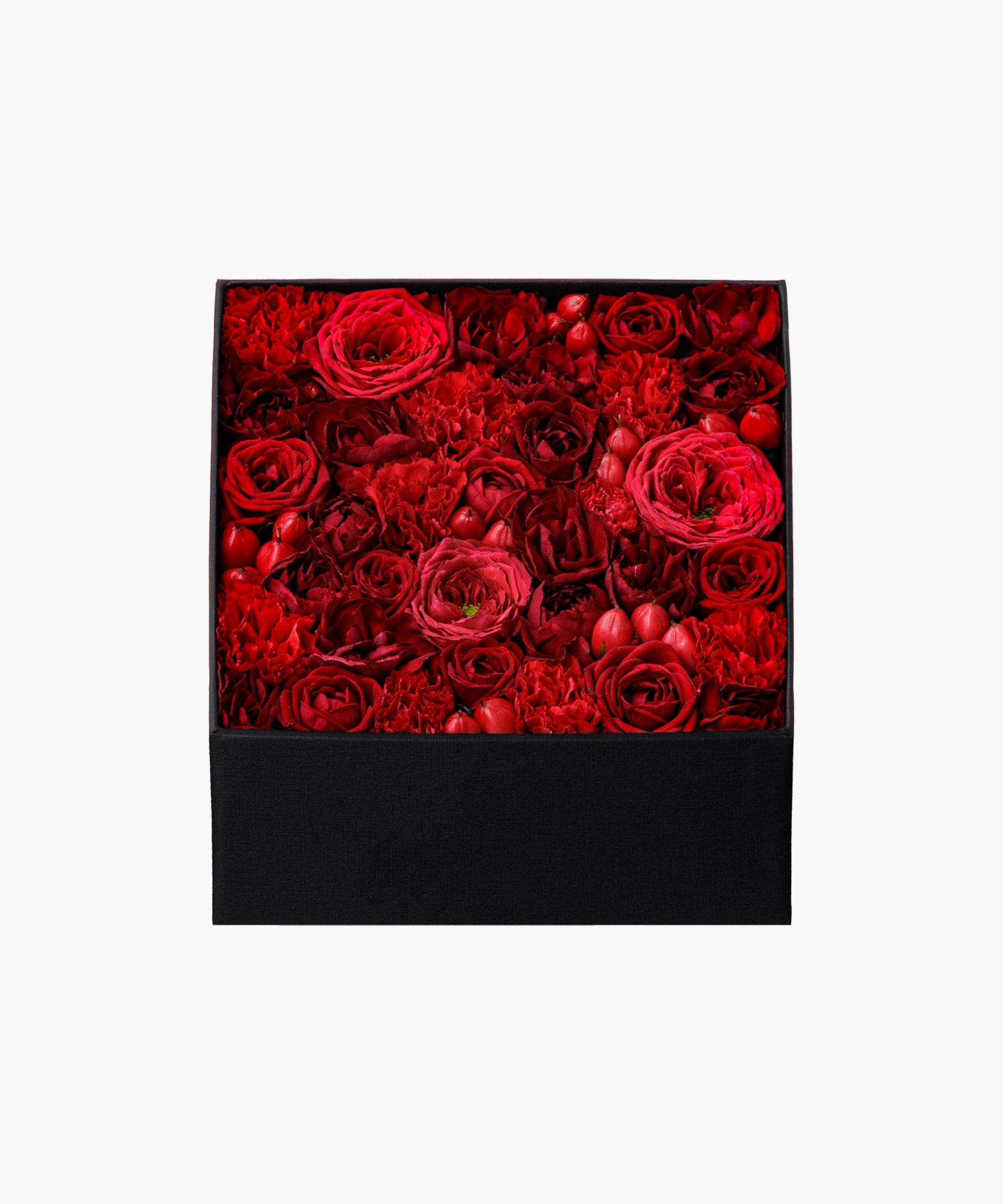 Marilyn (マリリン)