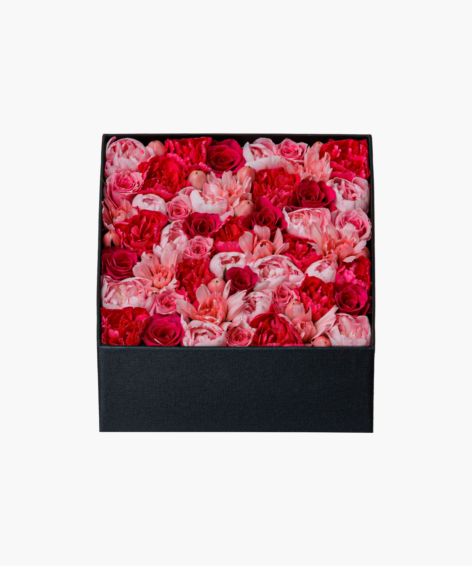 Pink Darling (ピンク ダーリン)