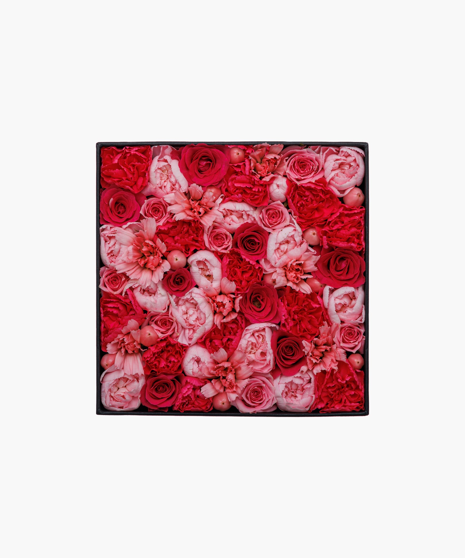 Pink Darling (ピンク ダーリン)