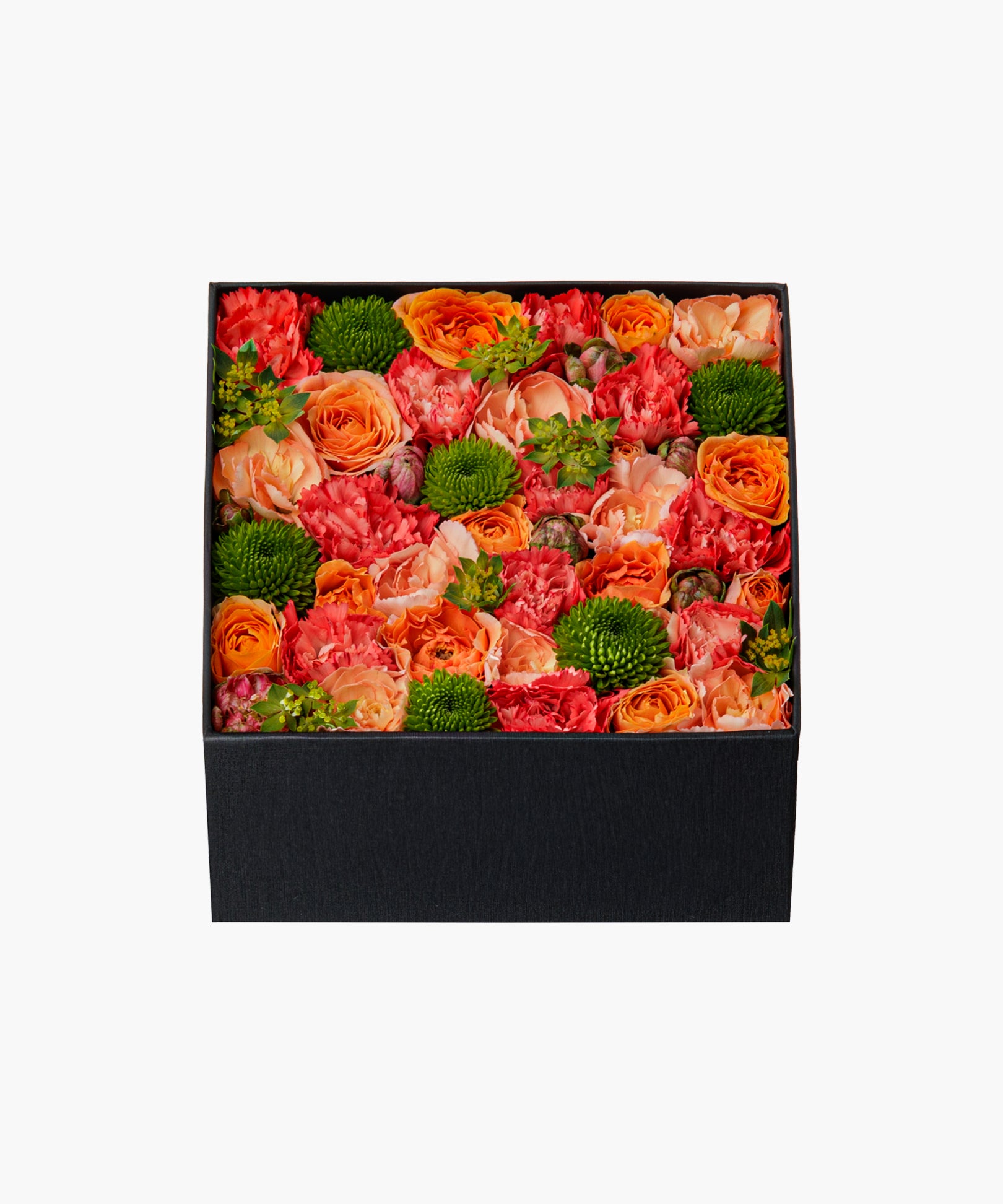 Sunny Scent (サニー セント)