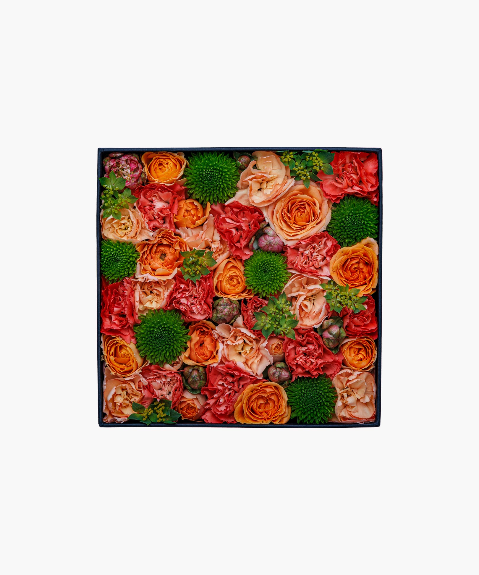 Sunny Scent (サニー セント)