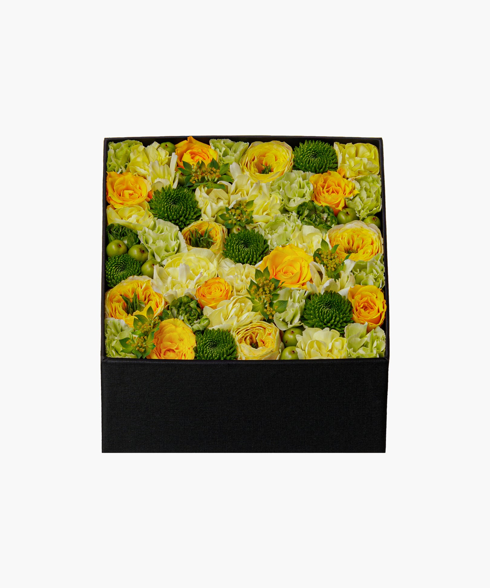 Yellow Breeze (イエロー ブリーズ)