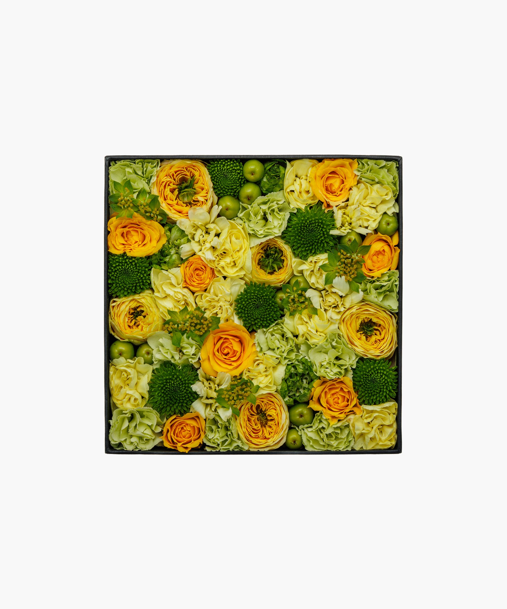 Yellow Breeze (イエロー ブリーズ)