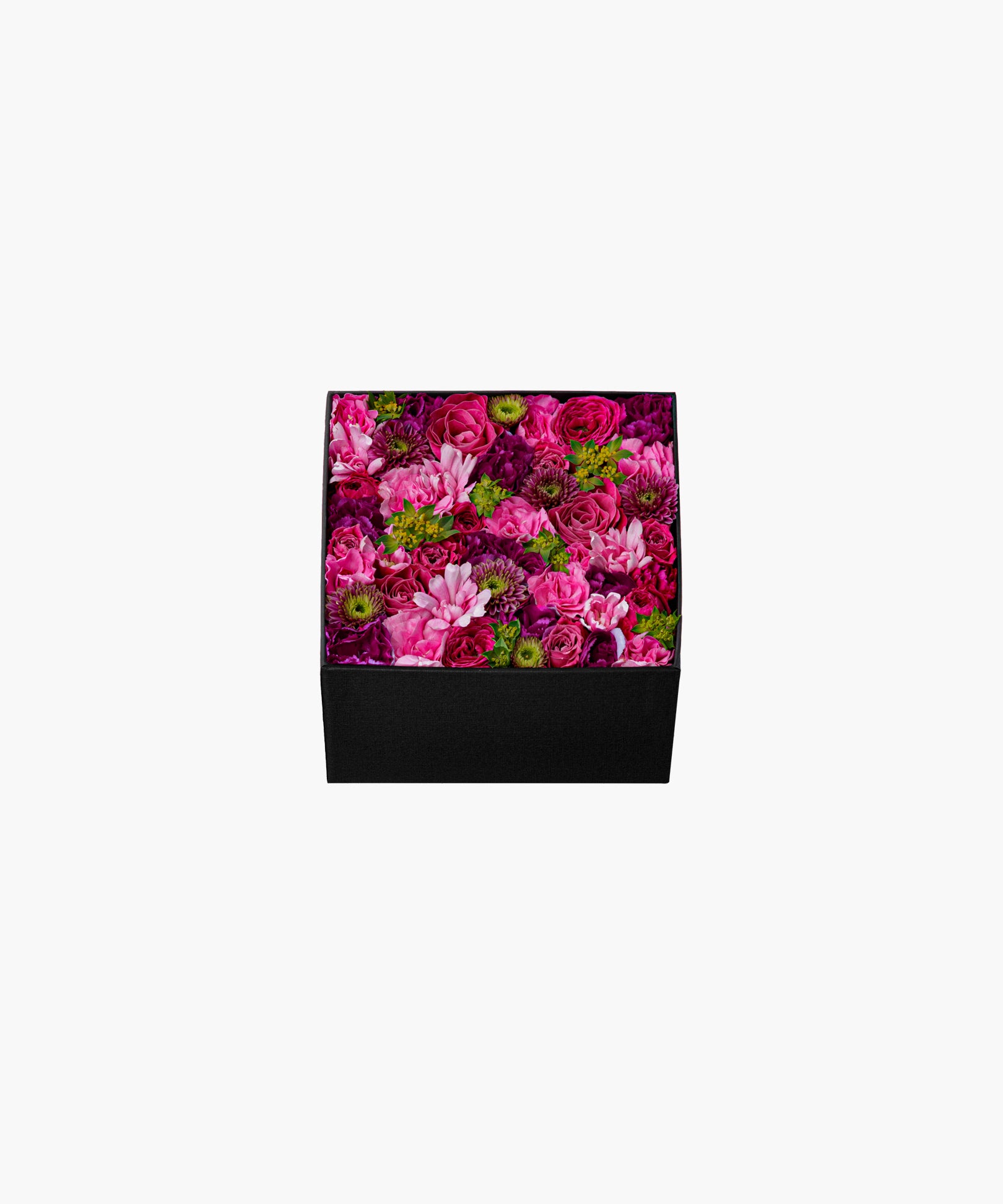 Blushing Rose (ブラッシング ローズ)