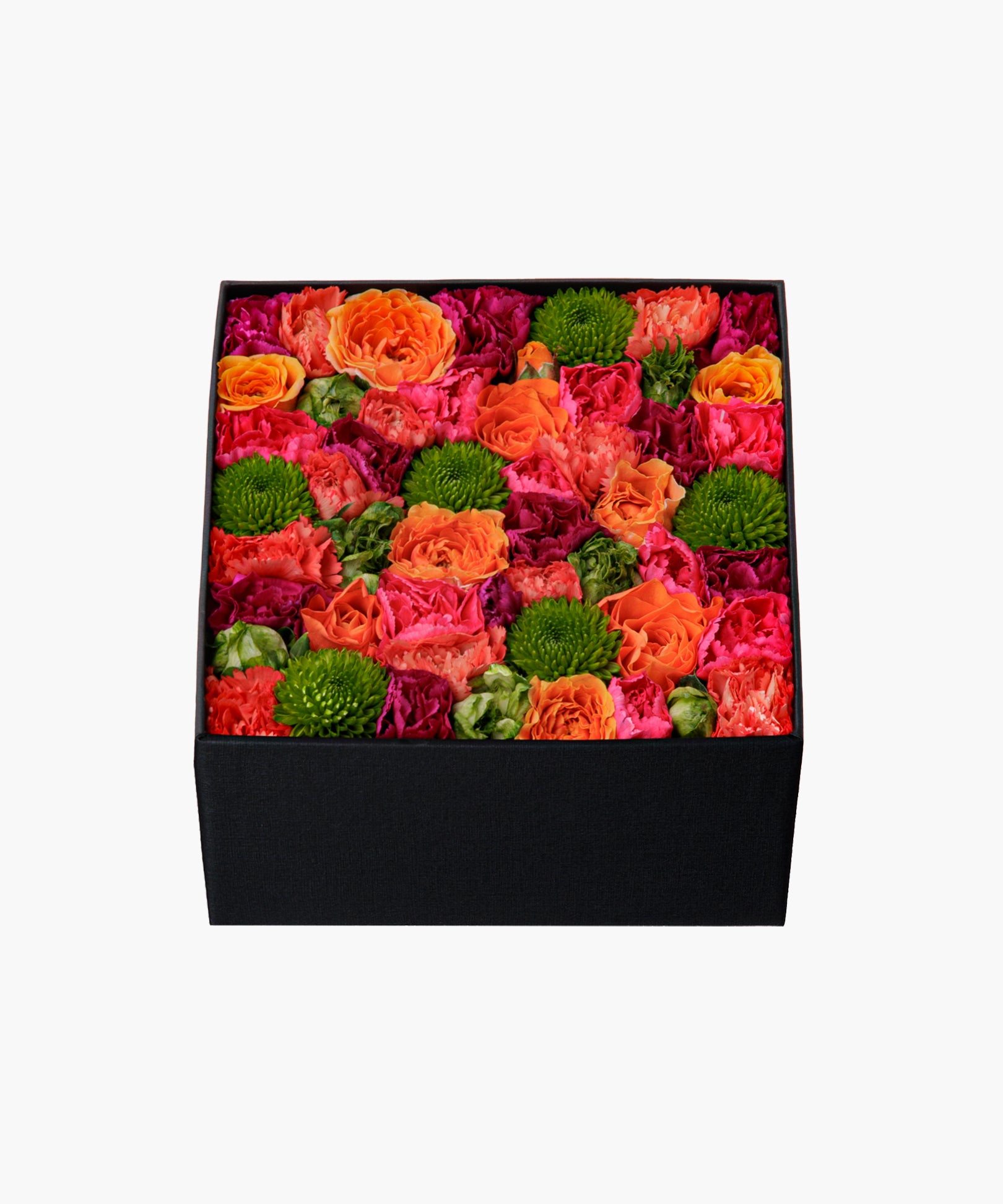 Vibrant Vibes (バイブラント バイブス)