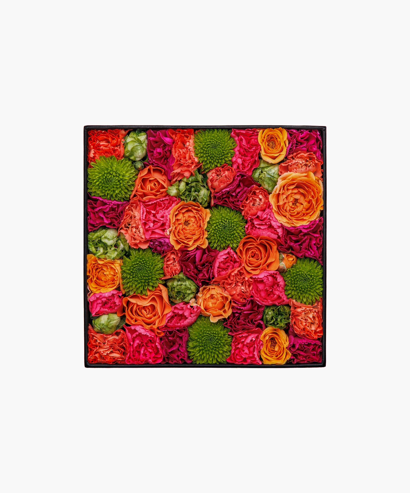 Vibrant Vibes (バイブラント バイブス)