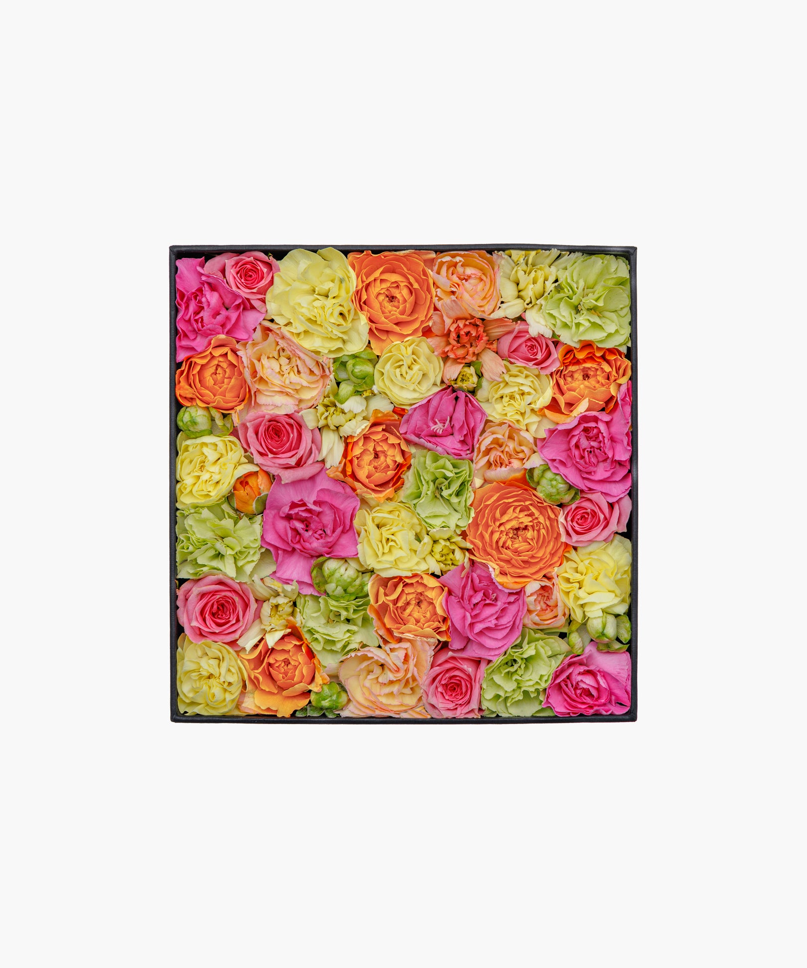 Colorful Journey (カラフル ジャーニー)